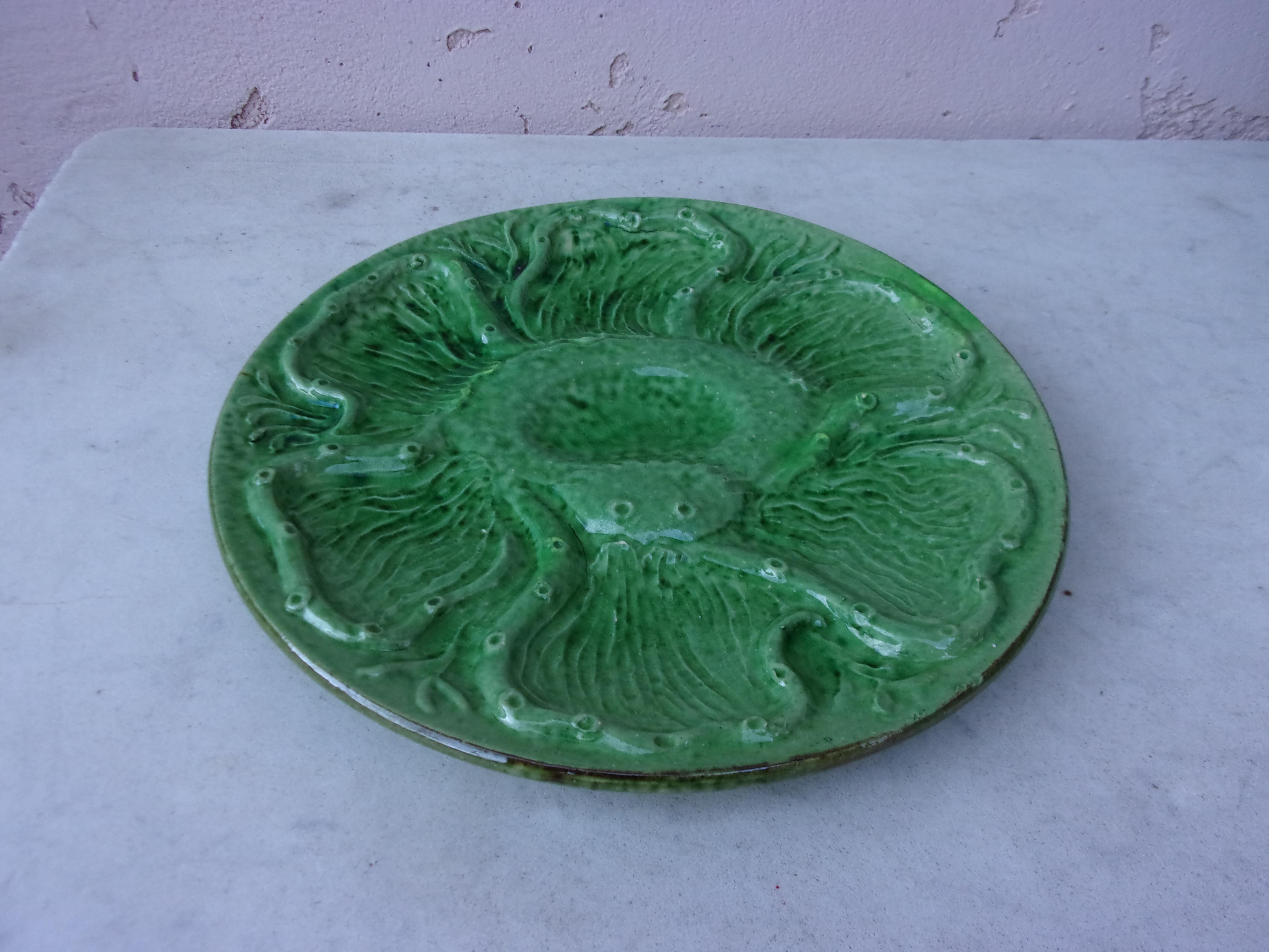 French green Majolica oyster plate signed Aetgina Vallauris, circa 1950.
With an octopus pattern.