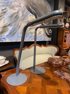 French Grey Metal Desk Cobra Flexible Lamp by Michel Philippe for Manade