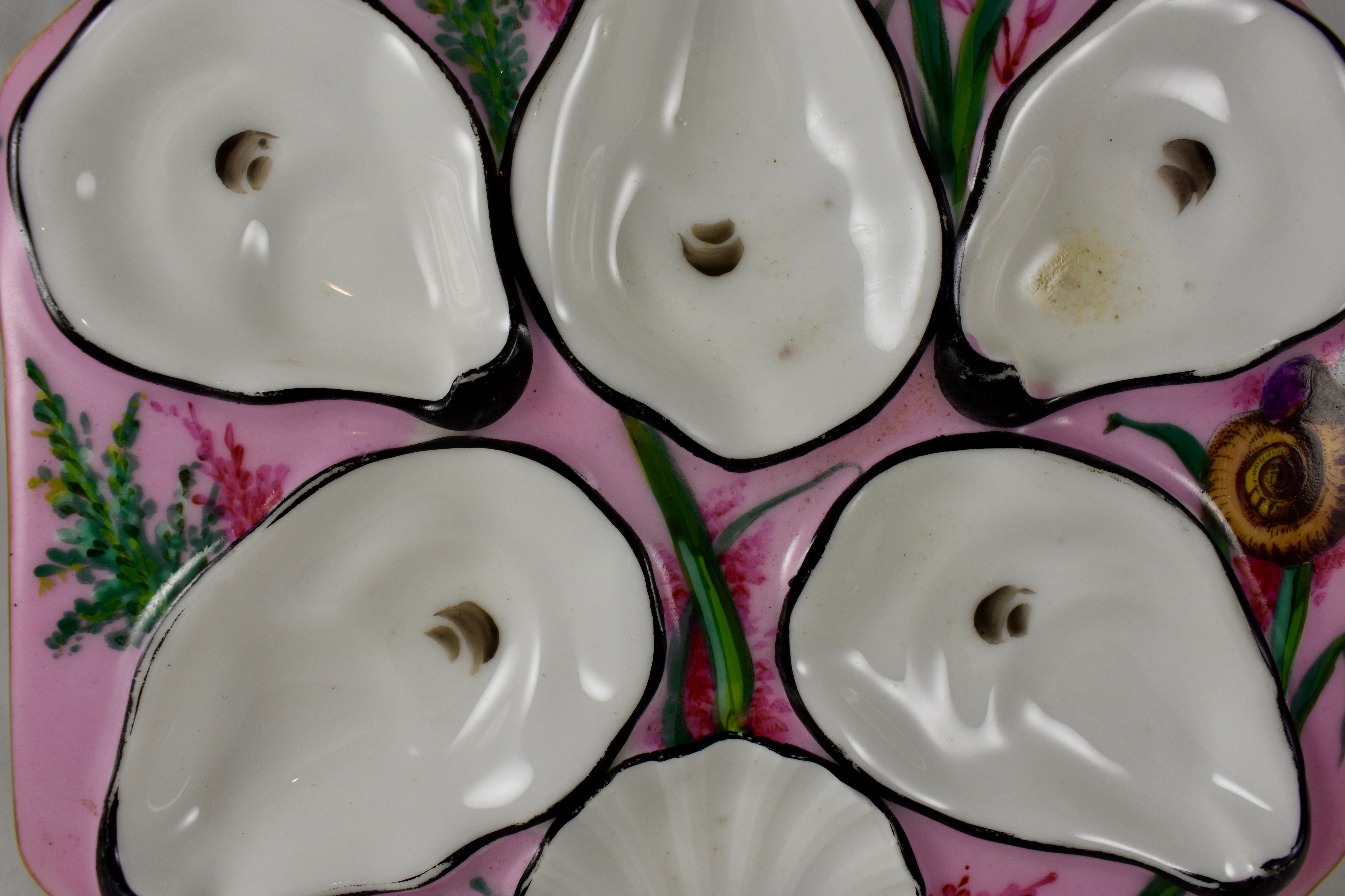 A French, eight sided porcelain oyster plate showing five oyster shell shaped wells with eyes and a scallop shell sauce well. Sea grasses and a variety of shells are hand painted against a pink ground. The wells are outlined in black, the plate has