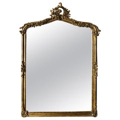 French Hand Carved Beveled Glass "Henri" Mirror in Hand Gilt Frame