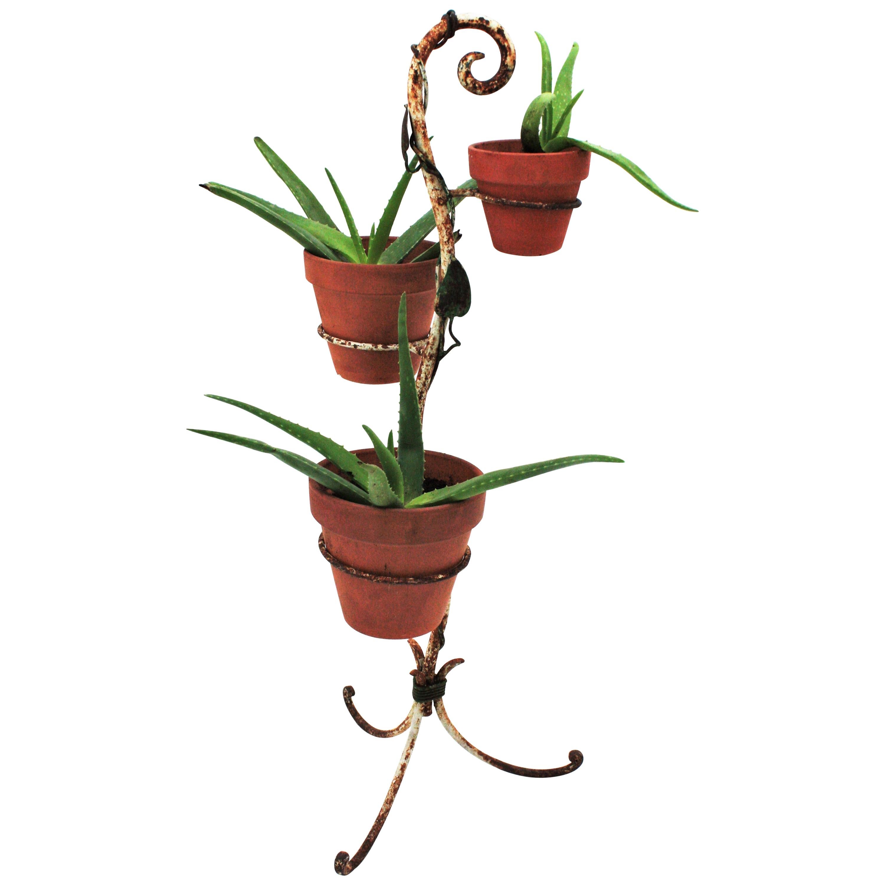 Wrought Iron Foliage Planter in White and Green Rusty Patina For Sale