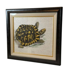 French Hand Painted Tortoise On Household Ledger Paper Dated 1837