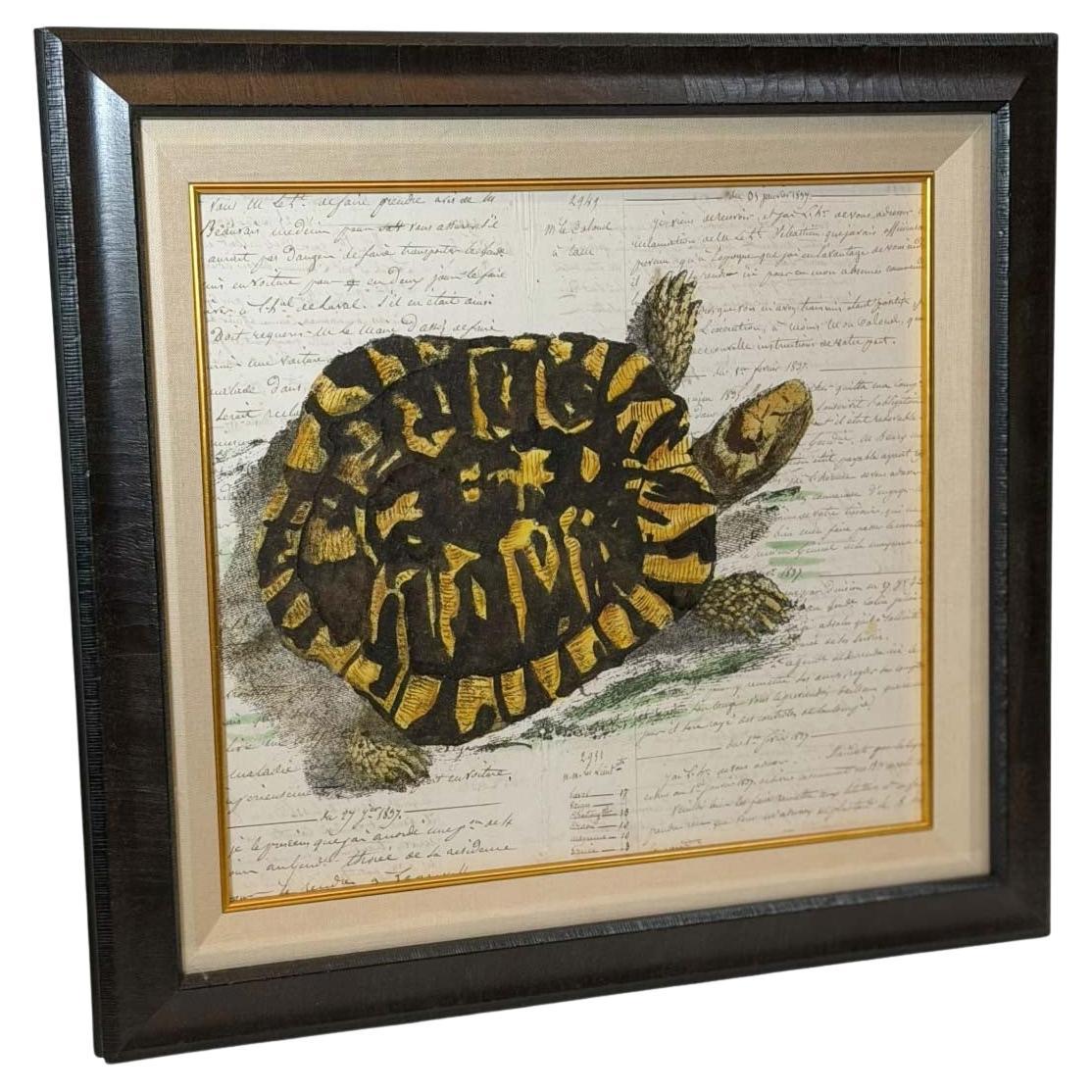 French Hand Painted Tortoise On Household Ledger Paper Dated 1837 For Sale