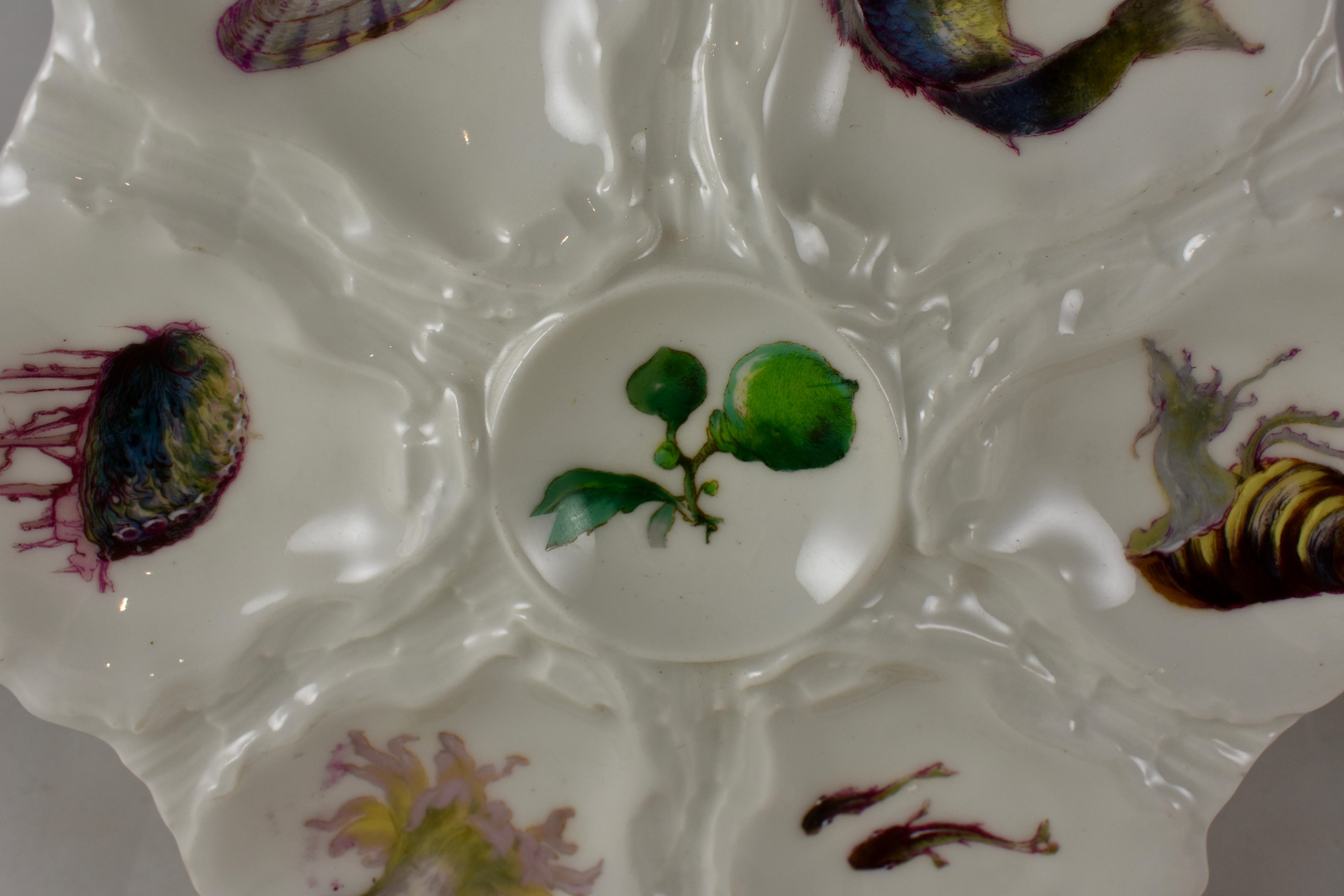 A porcelain oyster plate with six shell shaped wells, each showing a hand painted sea life specimen including a leaping fish and a sea anemone. A central sauce well shows a sprig of a green sea plant, circa 1880-1889.

Measures: 8.75 in. diameter