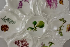 French Haviland Limoges Porcelain Hand-Painted Sea Fan & Shells Oyster Plate