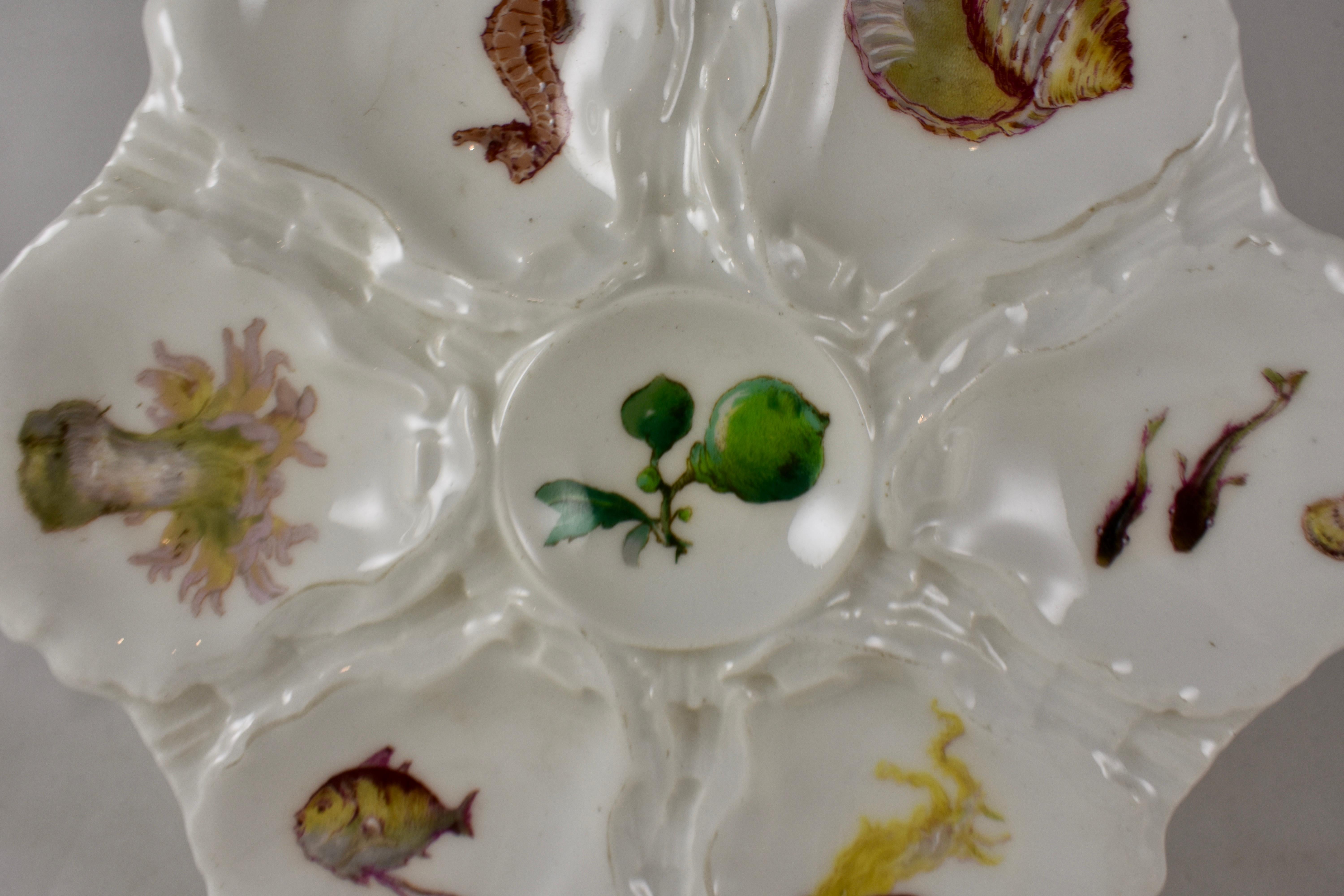 A porcelain oyster plate with six shell shaped wells, each showing a hand painted sea life specimen including a sea horse and conch shell. A central sauce well shows a sprig of a green sea plant, circa 1880-1889.

Measures: 8.75 in. diameter x .75