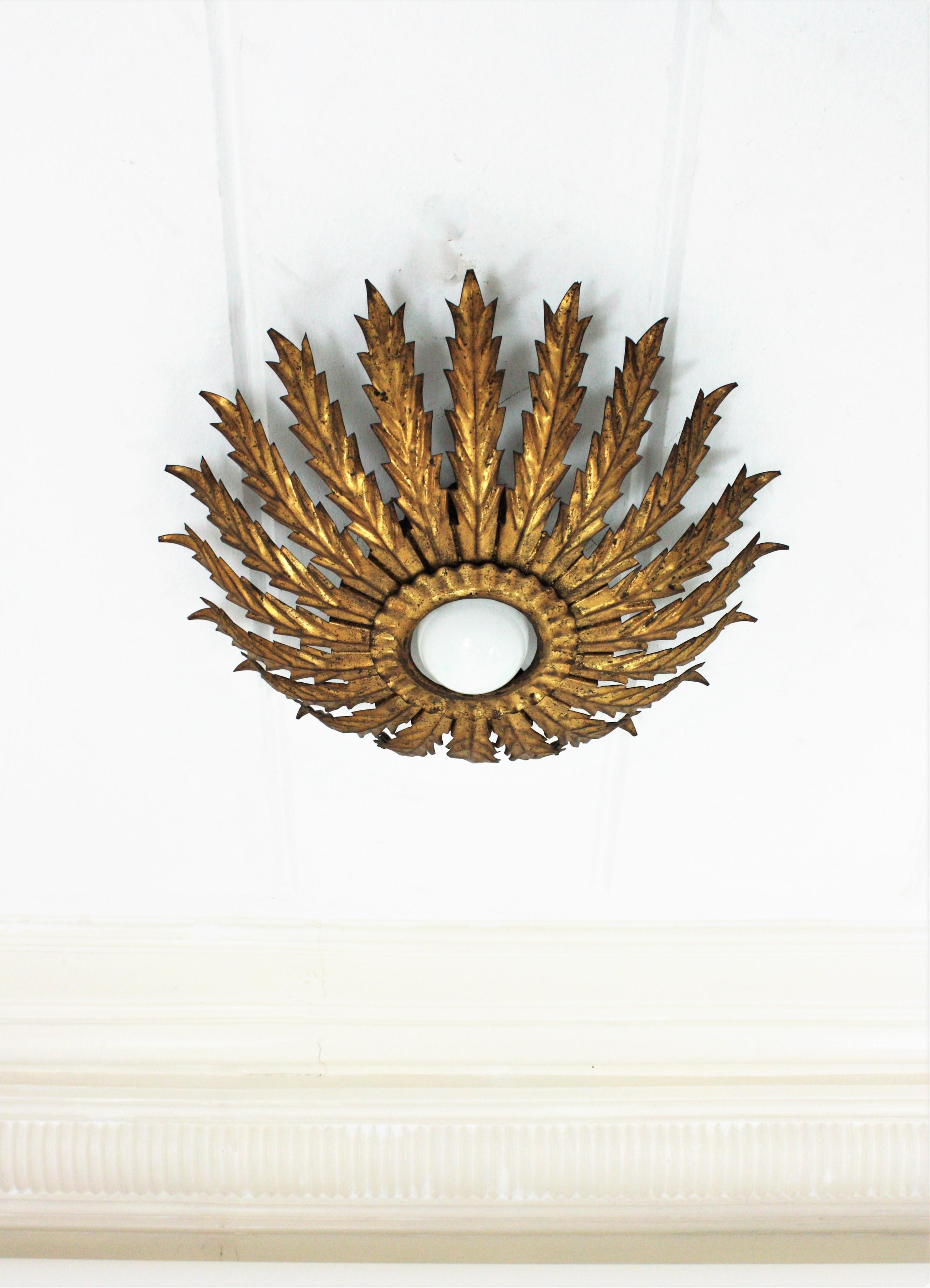 French Hollywood Regency Sunburst Leaves Light Fixture, 1950s For Sale 1