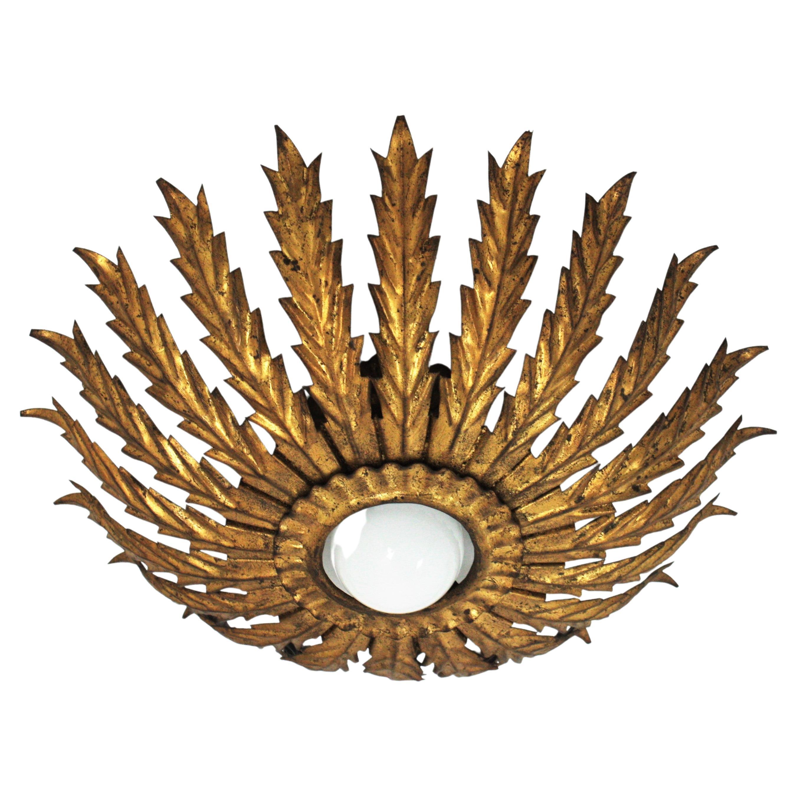 Luminaire français Hollywood Regency à feuilles en forme de soleil, années 1950