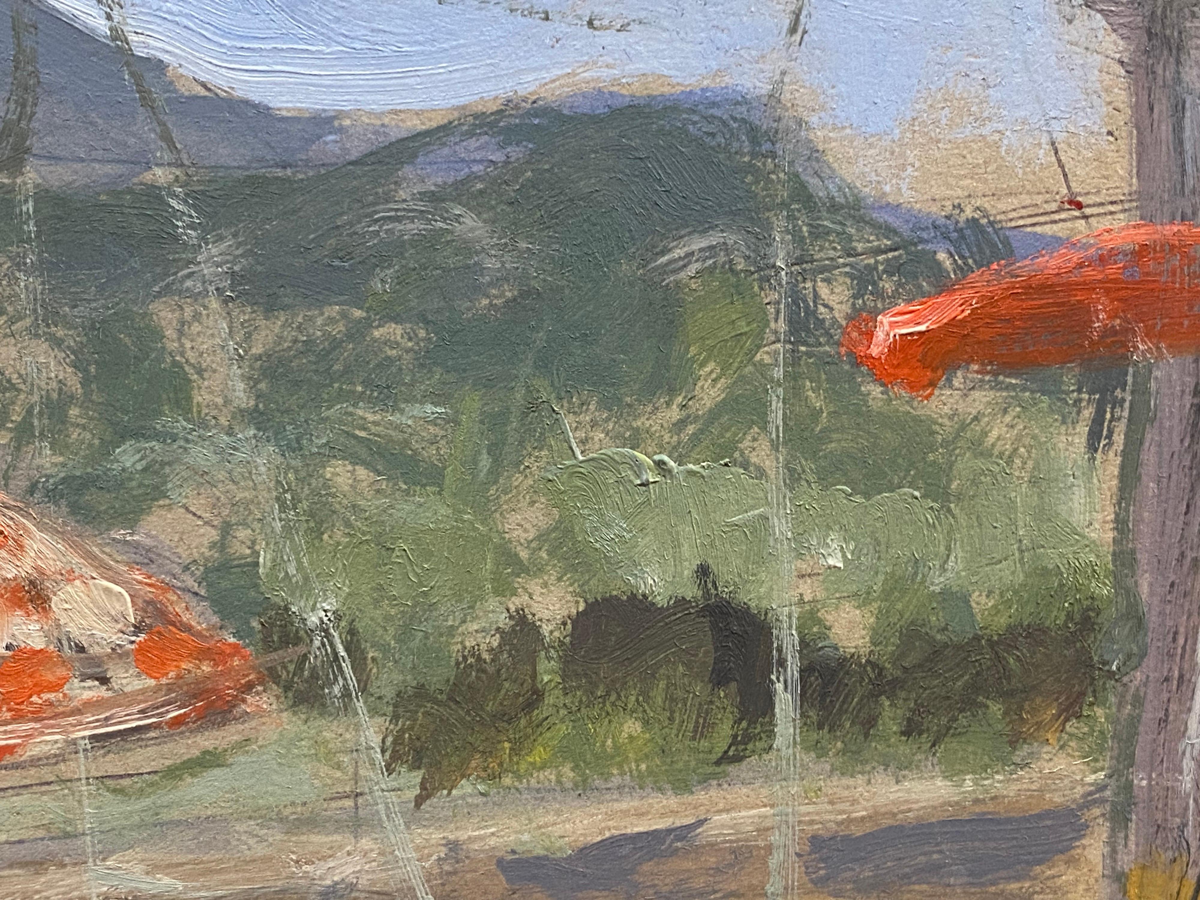 luberon menerbes