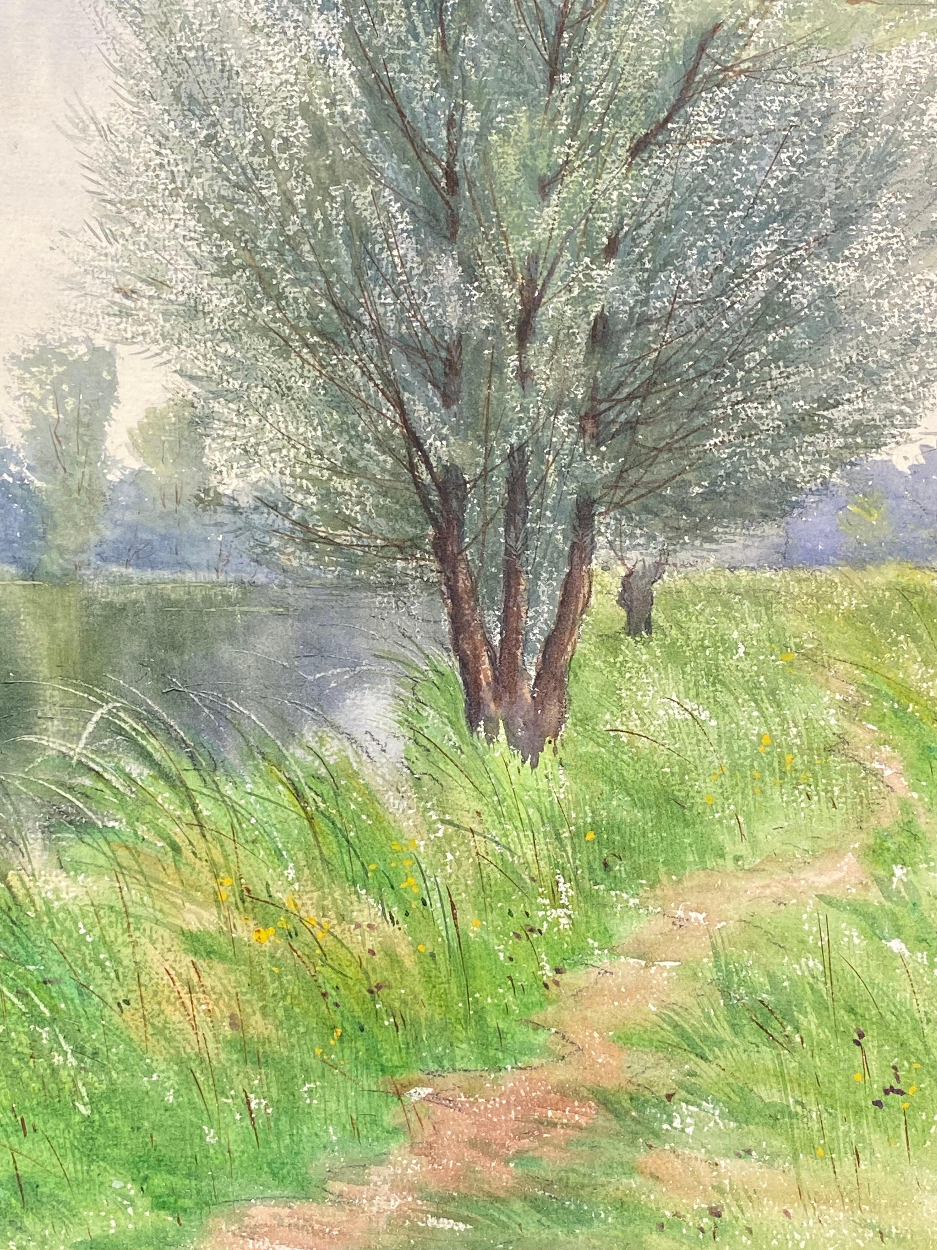 french willow tree