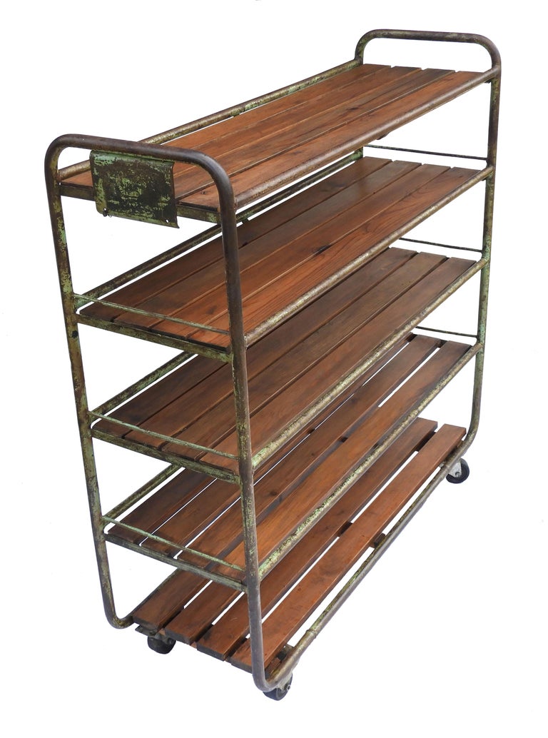 French Industrial Shelving Rack Rolling Bookcase Cart Vintage Factory