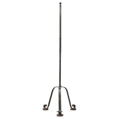 French Iron Antique Floor Lamp