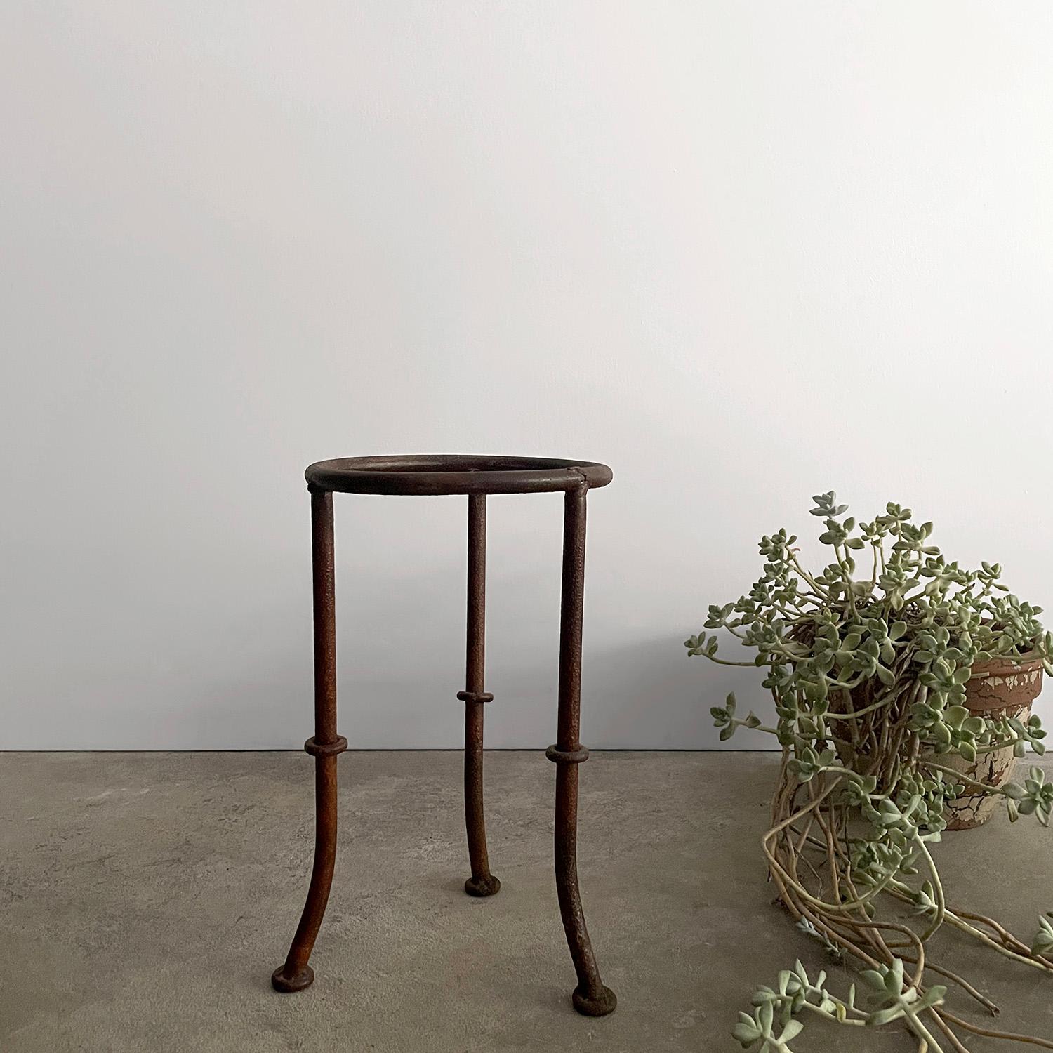 20th Century French Iron Bamboo Tripod Plant Stand