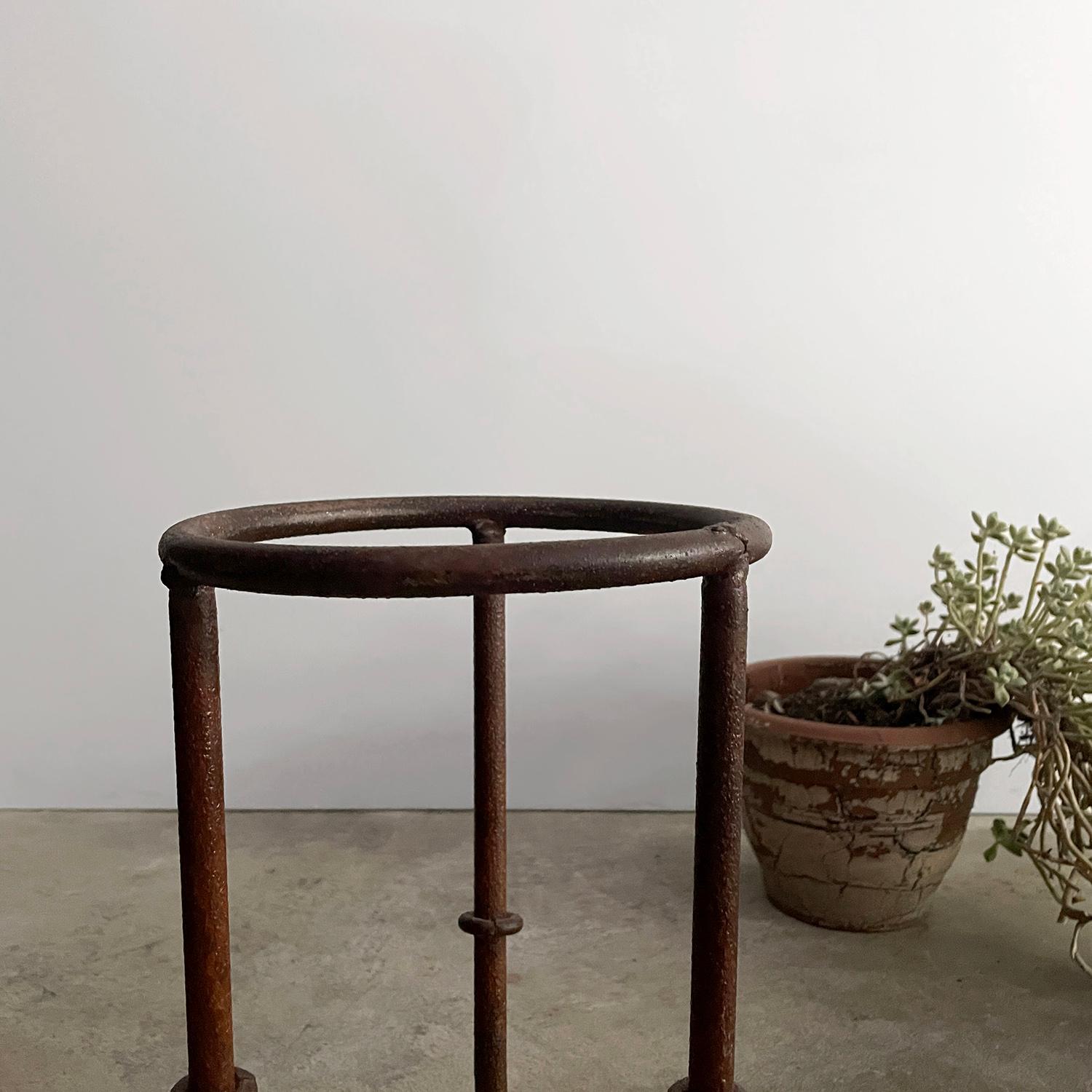 French Iron Bamboo Tripod Plant Stand  For Sale 1