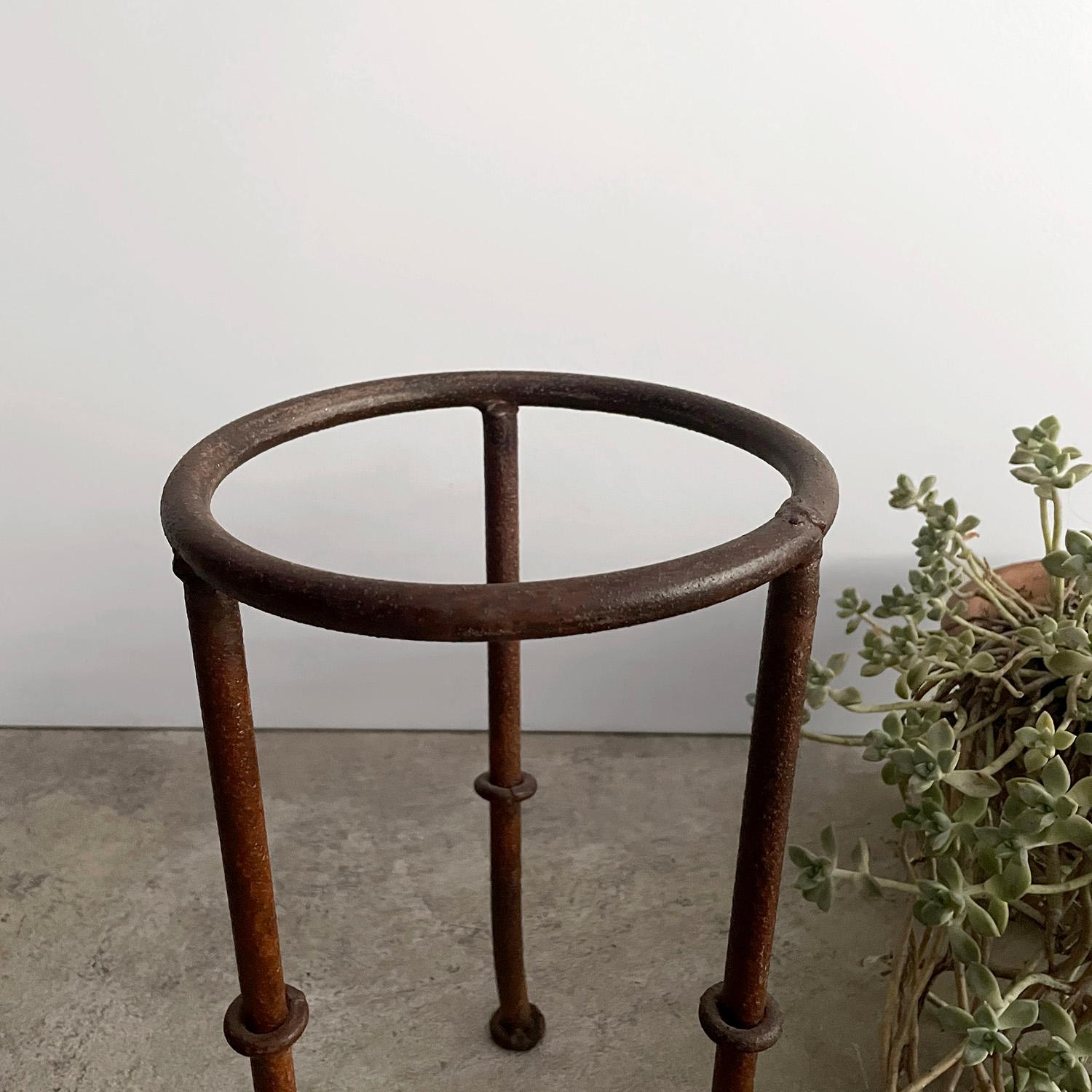 French Iron Bamboo Tripod Plant Stand  For Sale 2