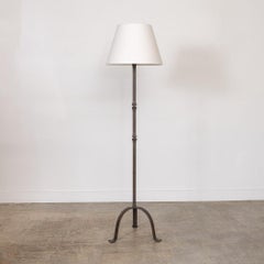 French Iron Brutalist Floor Lamp