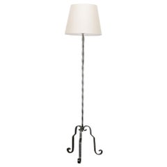 French Iron Floor Lamp