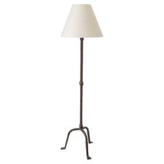 French Iron Floor Lamp