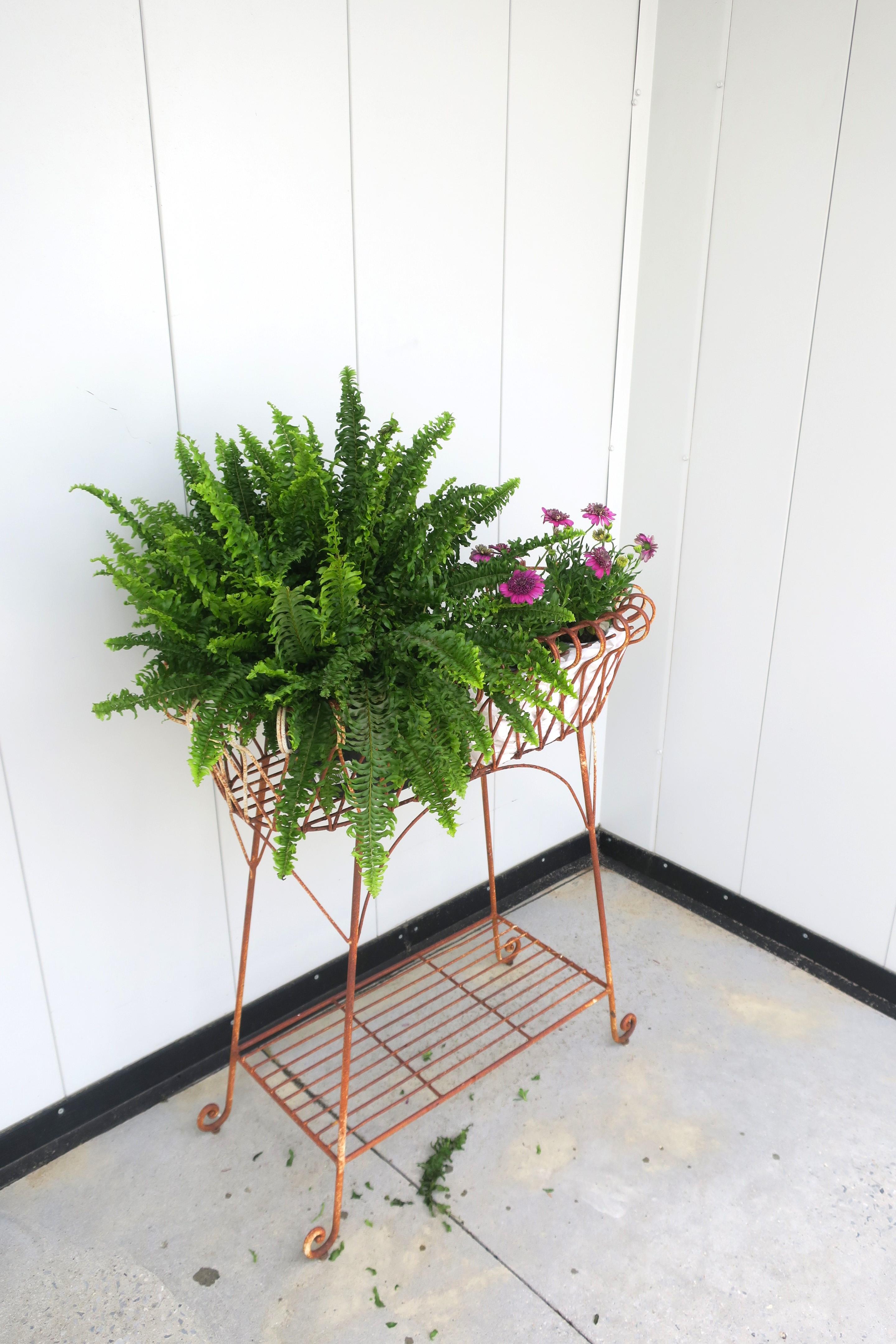 20th Century French Iron Plant Flowerpot Holder Stand Jardiniere For Sale