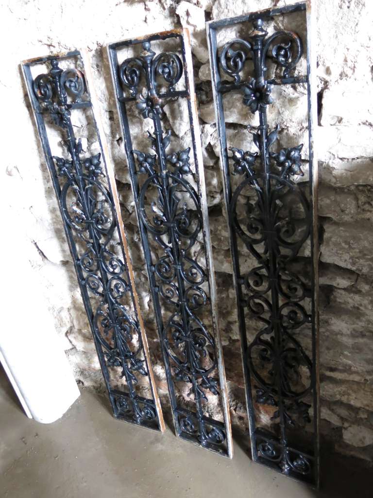 French Windows / Gates with Flowers in Iron circa 1850s, France For Sale 3