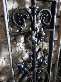 French Windows / Gates with Flowers in Iron circa 1850s, France