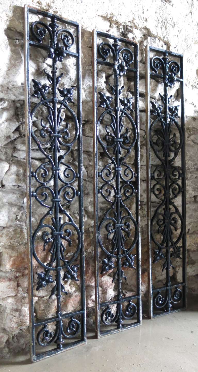 iron window gates