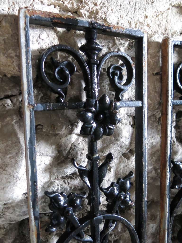 Louis XV French Windows / Gates with Flowers in Iron circa 1850s, France For Sale