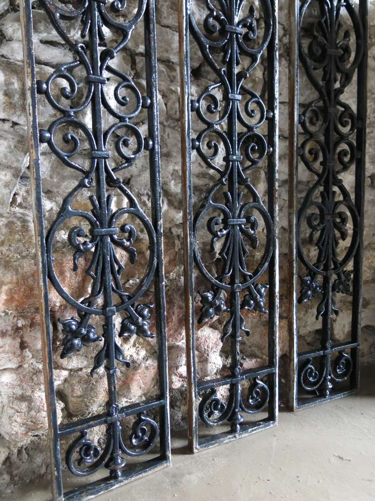 Cast French Windows / Gates with Flowers in Iron circa 1850s, France For Sale