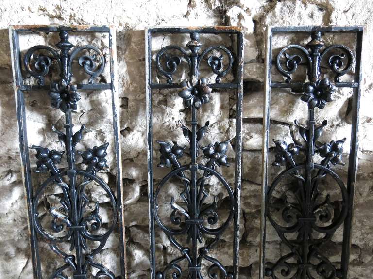French Windows / Gates with Flowers in Iron circa 1850s, France In Good Condition For Sale In LOS ANGELES, CA