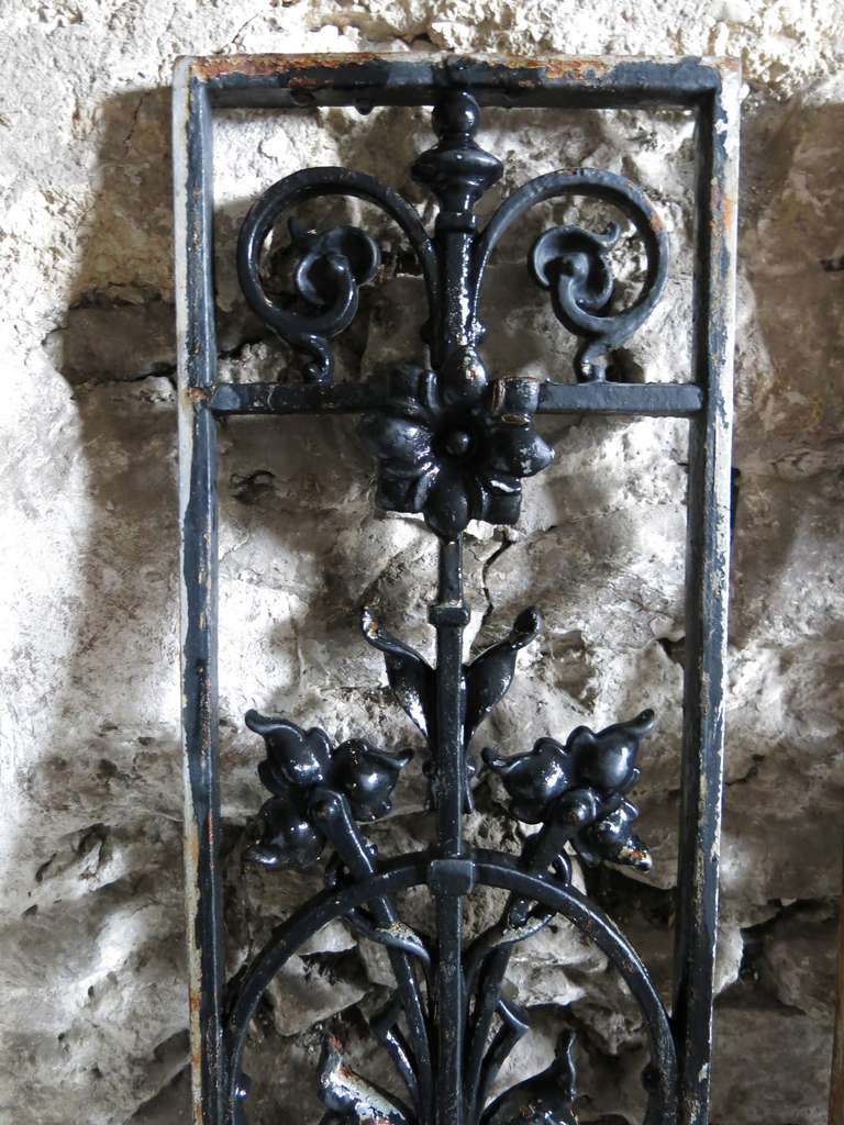19th Century French Windows / Gates with Flowers in Iron circa 1850s, France For Sale