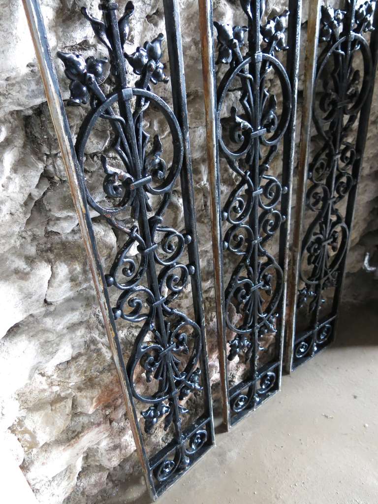 French Windows / Gates with Flowers in Iron circa 1850s, France For Sale 1