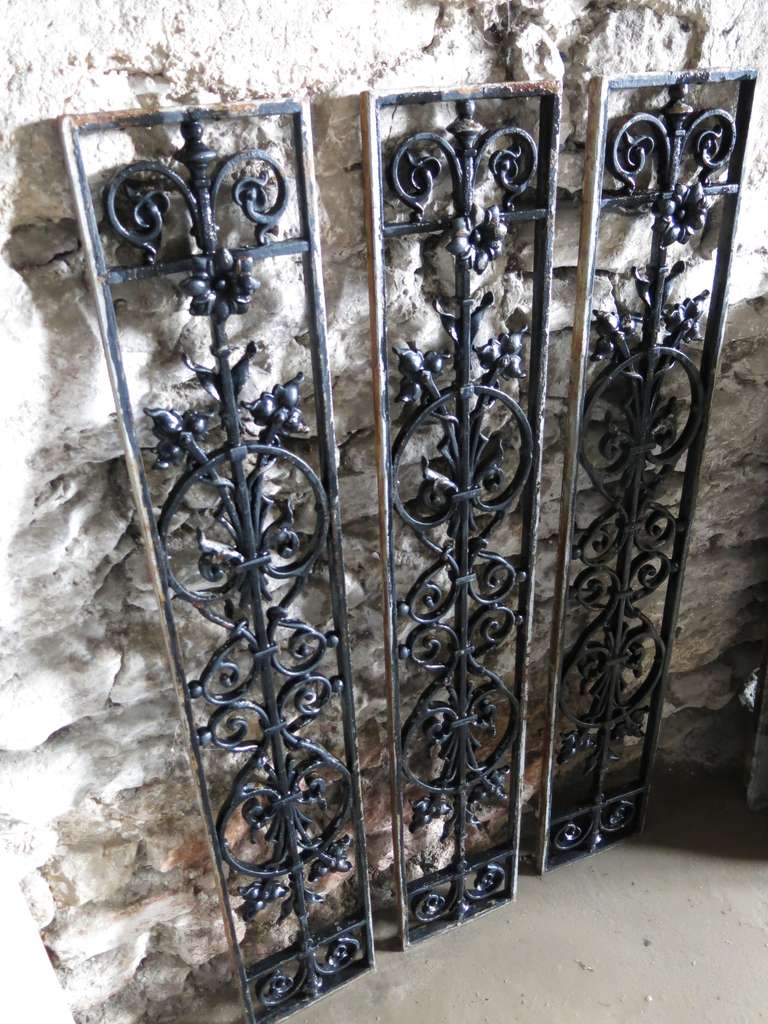French Windows / Gates with Flowers in Iron circa 1850s, France For Sale 2