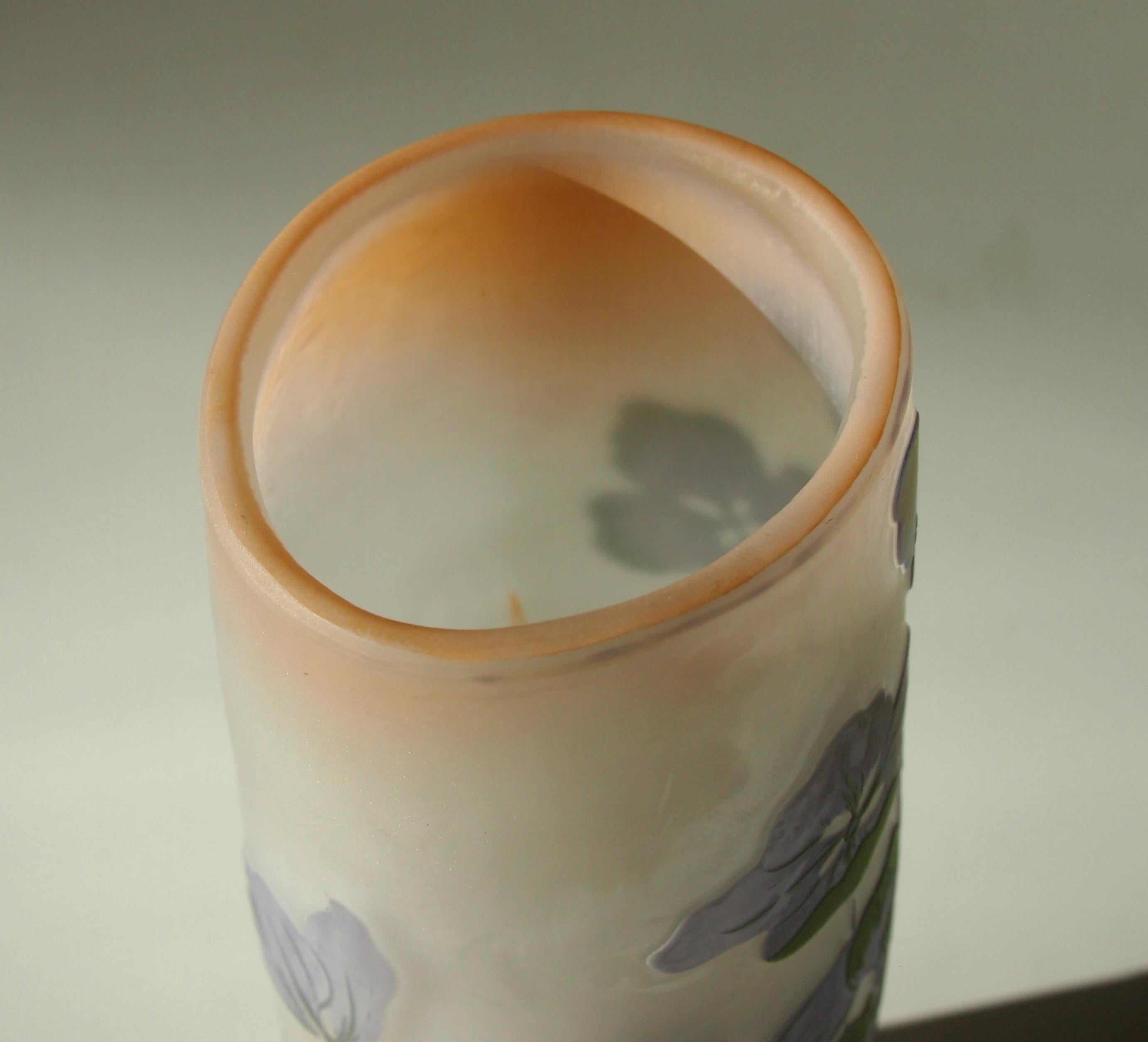 French Japanese Style Art Nouveau Emile Galle Cameo Glass Vase Signed circa 1900 1