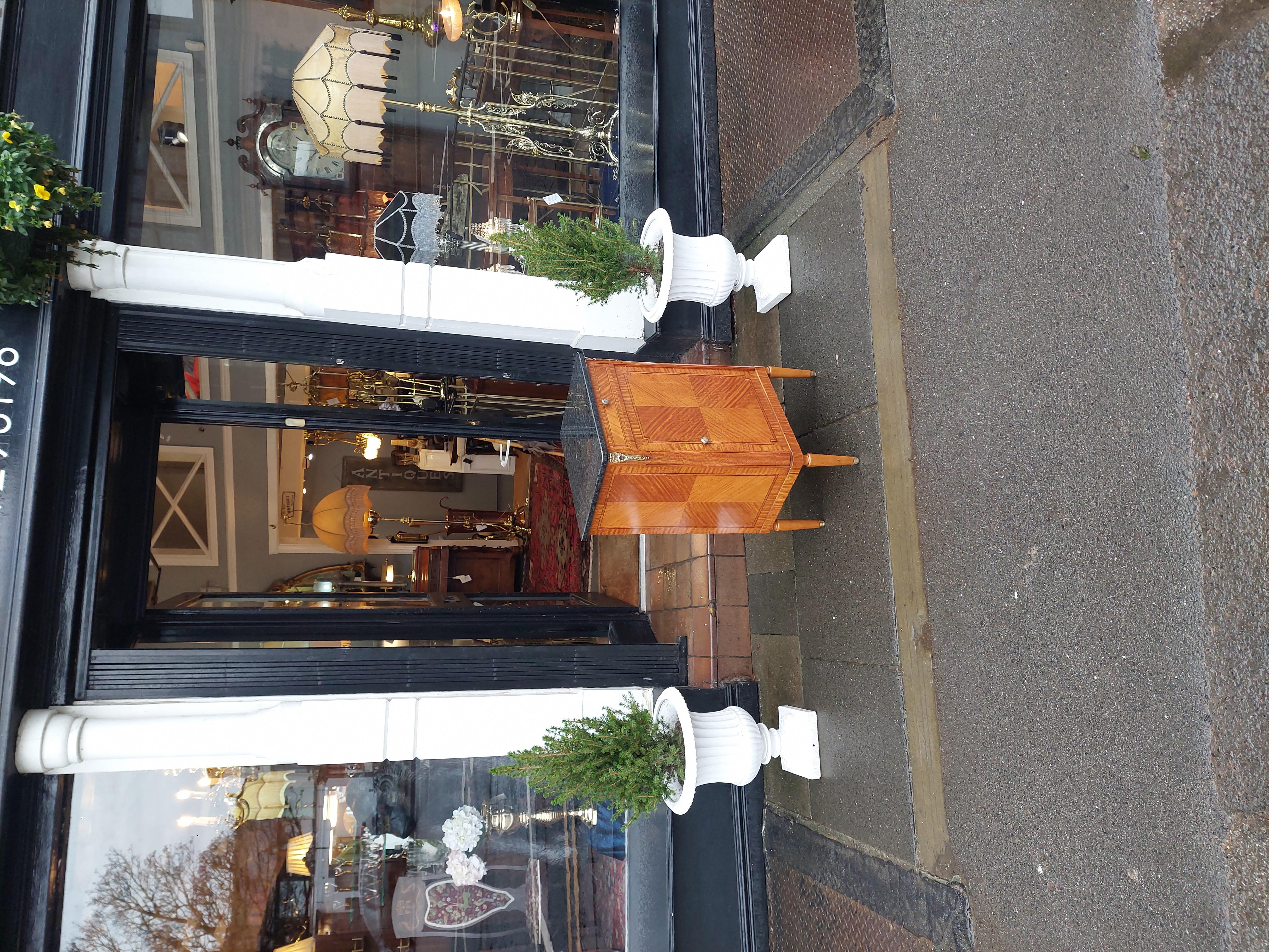 French Kingwood and Satinwood Pot Cupboard, late 19thC In Good Condition For Sale In Altrincham, GB