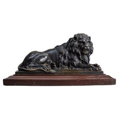Französische große Bronze eines Löwen aus dem 19. Jahrhundert nach Claude Michel Clodion