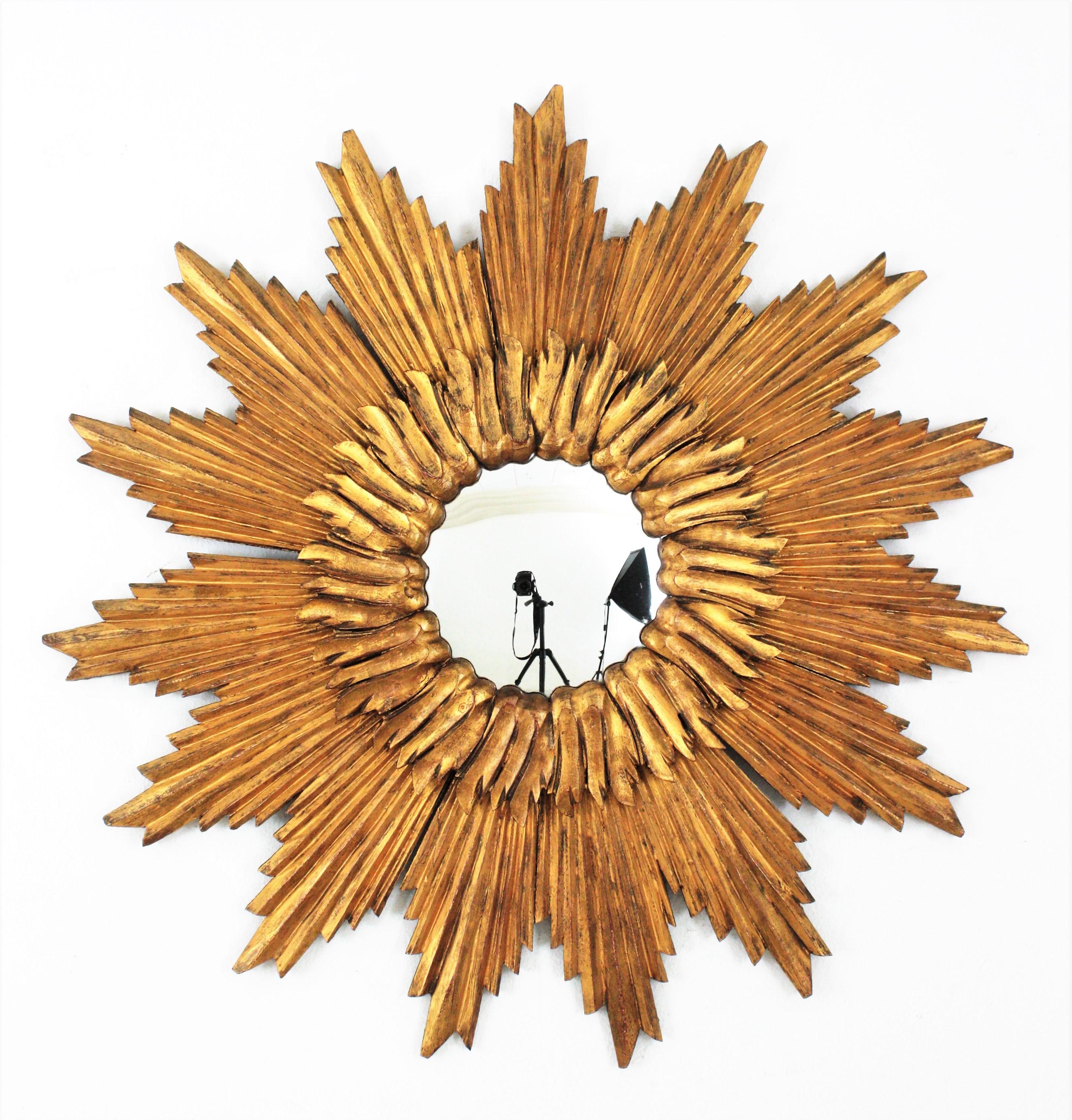 Miroir Grand miroir convexe Sunburst en bois doré, années 1960 en vente