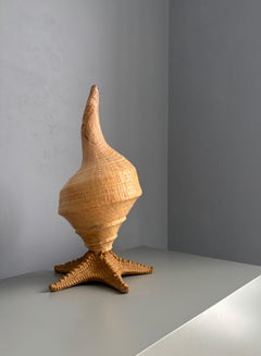 Vintage French Table Lamp with Trumpet Shell and Starfish, 1950s