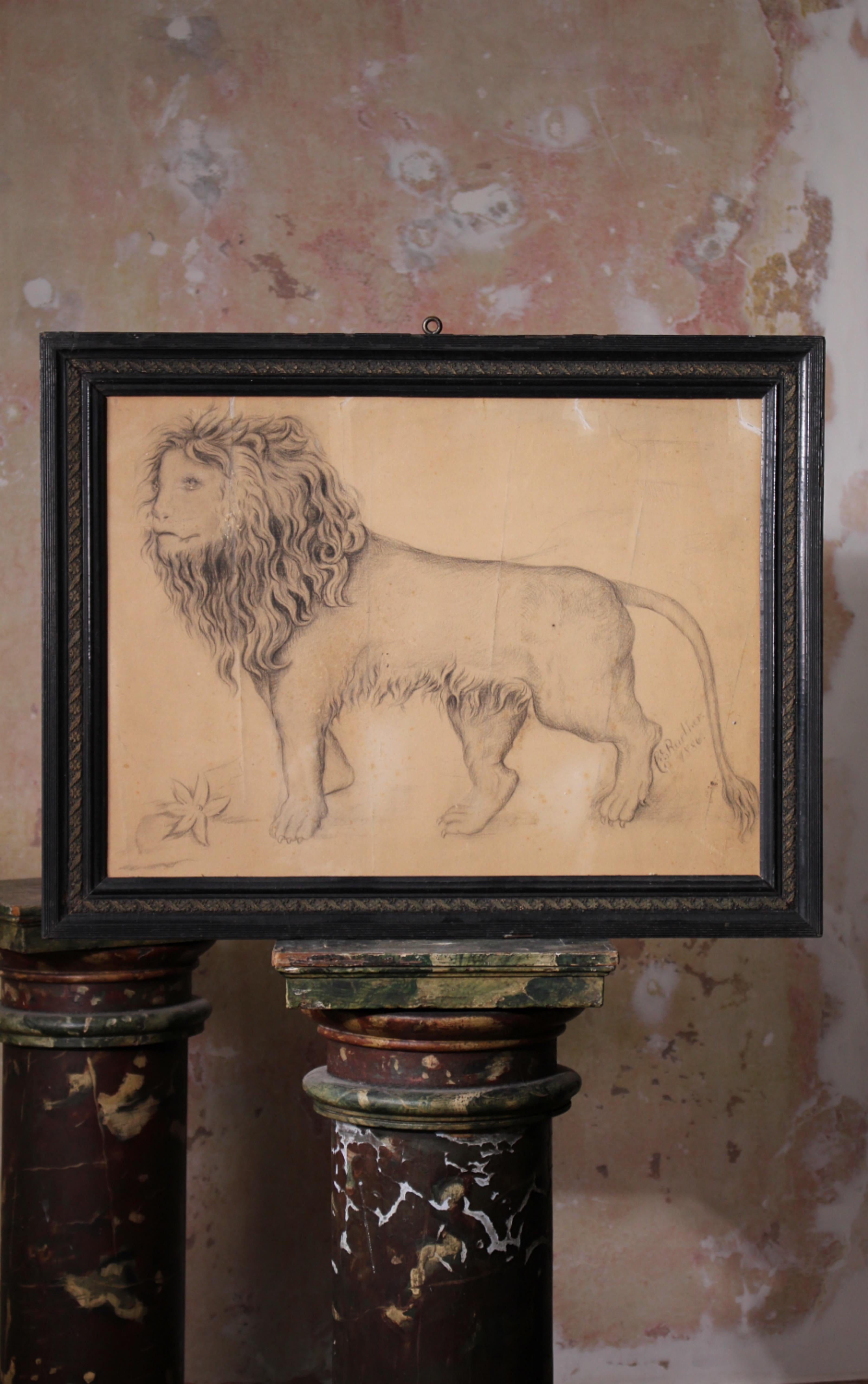 Français Grand dessin anthropomorphe français de la fin du 19e siècle représentant un lion, 1886 Taxidermie en vente
