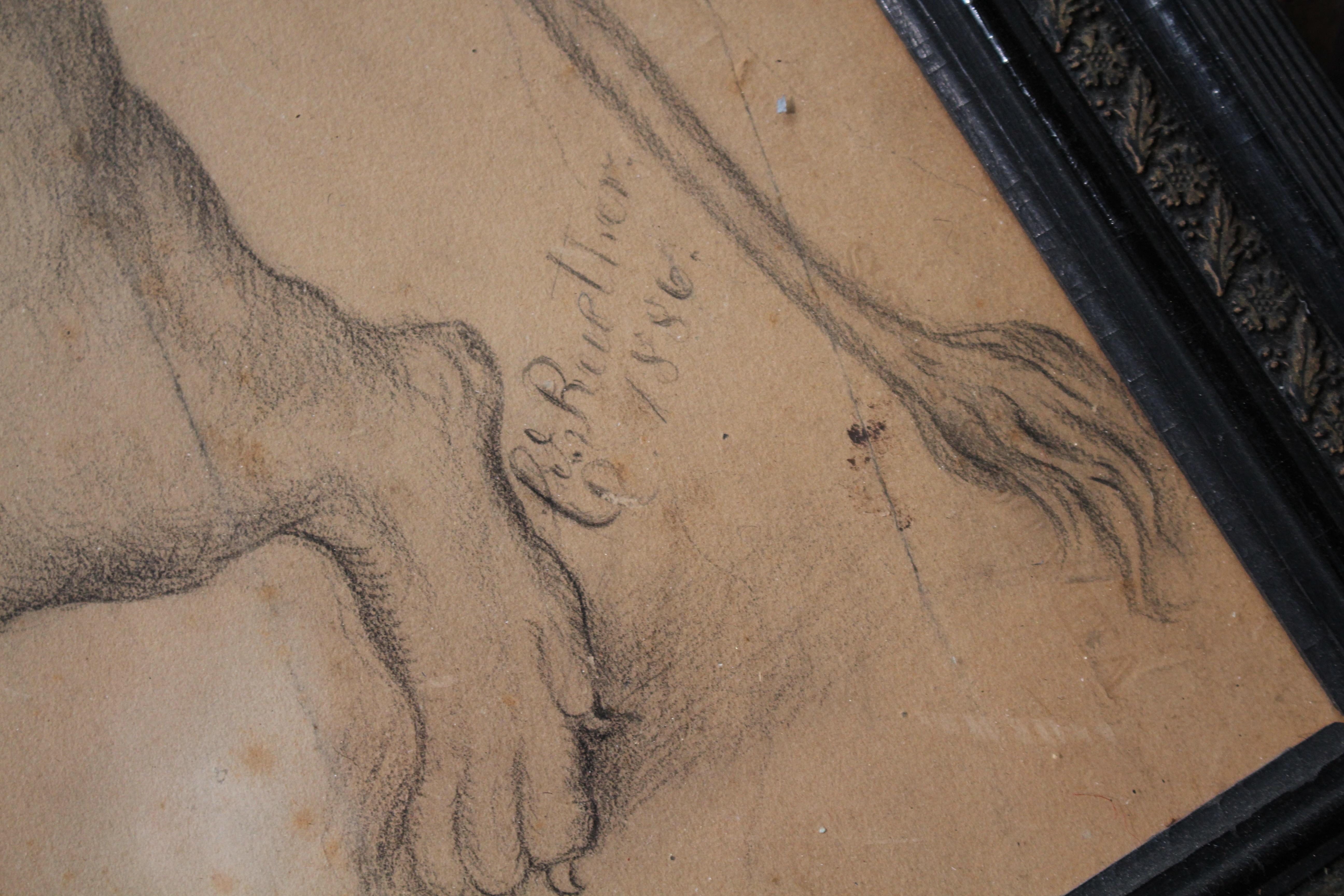 XIXe siècle Grand dessin anthropomorphe français de la fin du 19e siècle représentant un lion, 1886 Taxidermie en vente