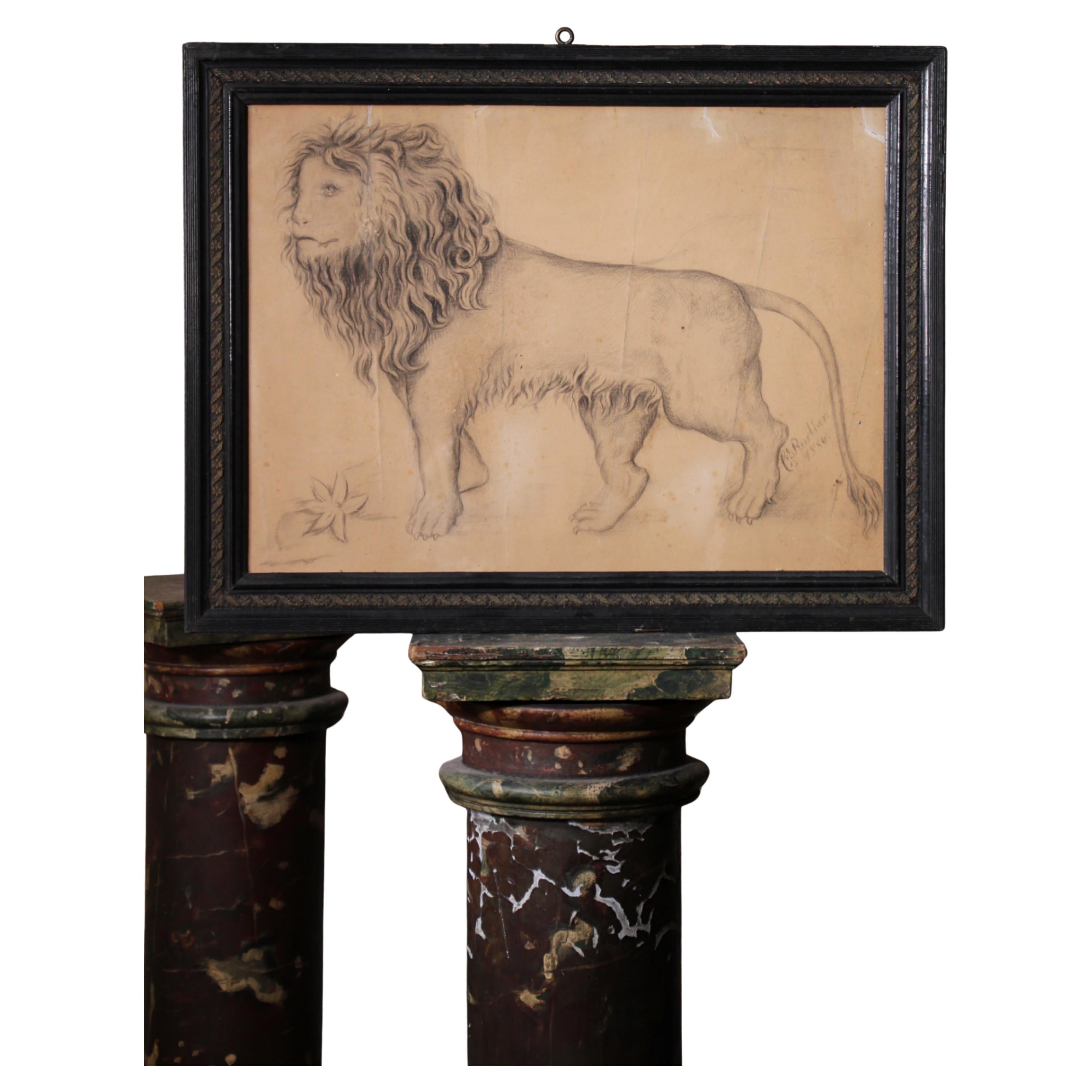 Grand dessin anthropomorphe français de la fin du 19e siècle représentant un lion, 1886 Taxidermie