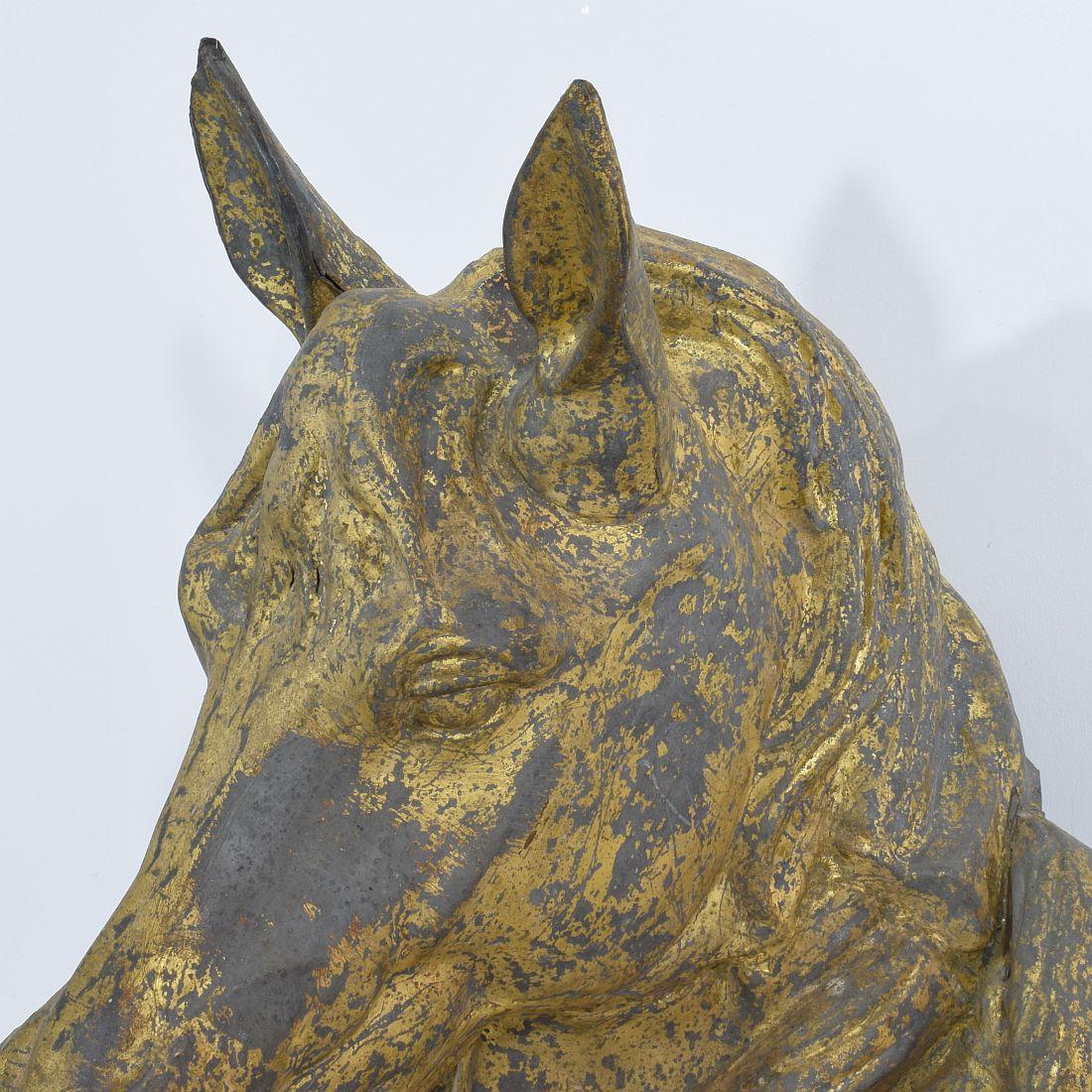 French Late 19th Century Gilt Zinc Horse Head 6