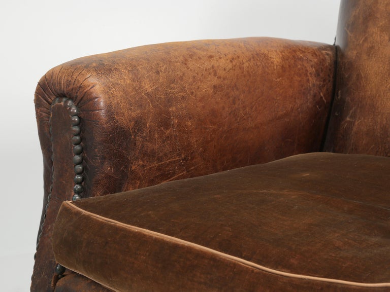 French Leather Club Chair Internally Rebuilt and Cosmetically Left All Original 6
