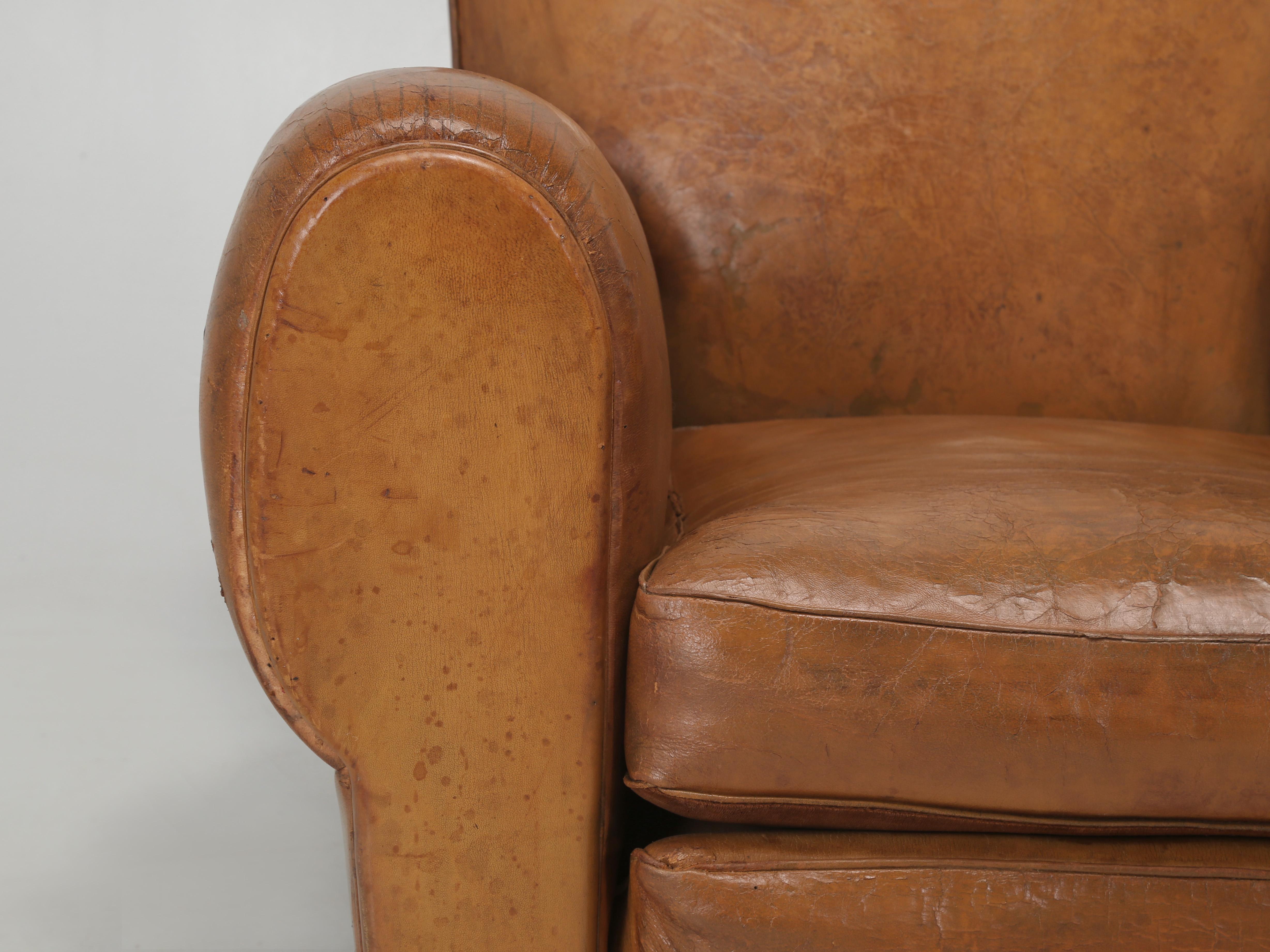 French Leather Club Chair Moustache Design Restored Internally Original Leather 2