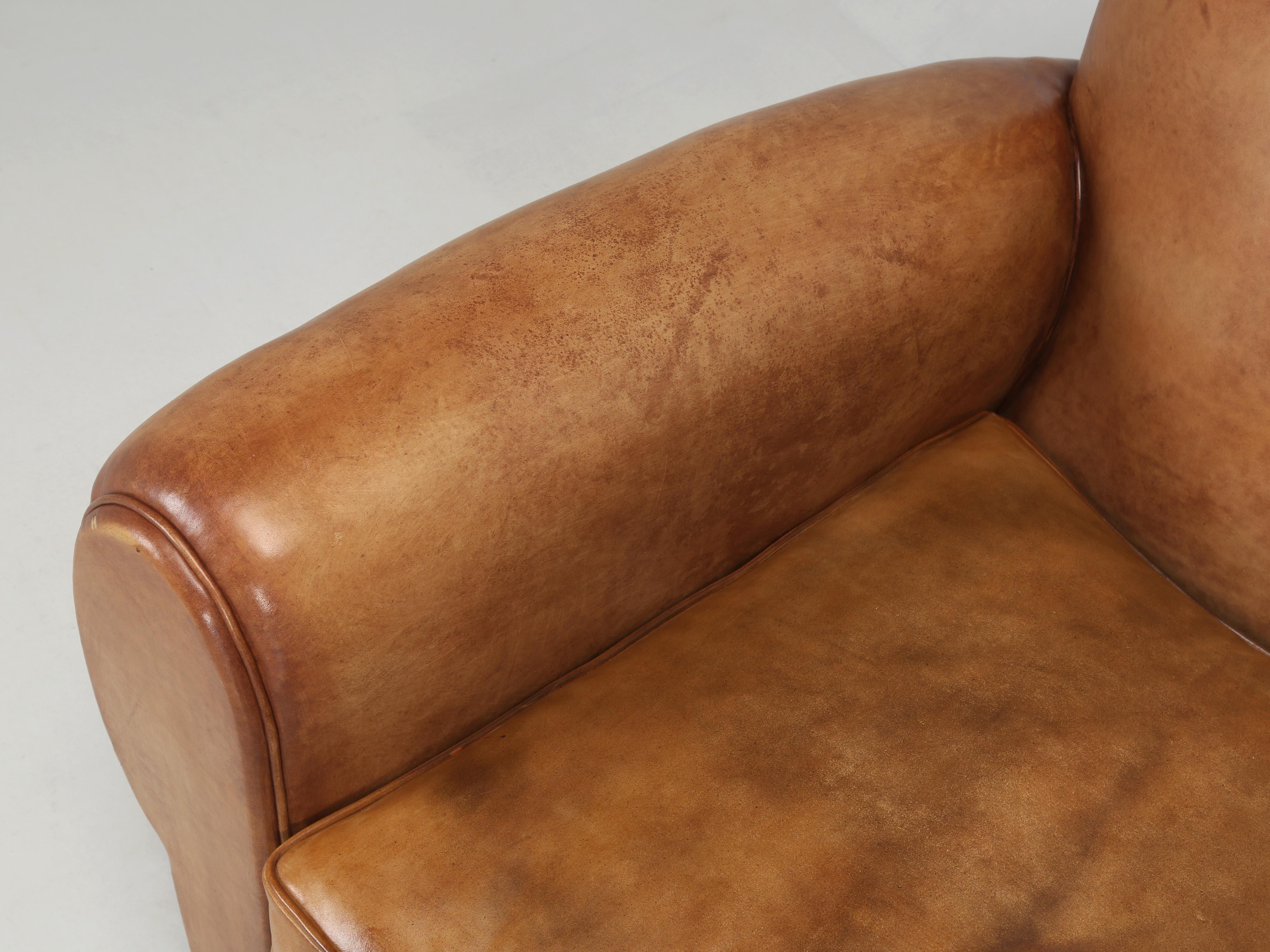 French Leather Club Chairs Completely Restored Horsehair Padding New Leather  1