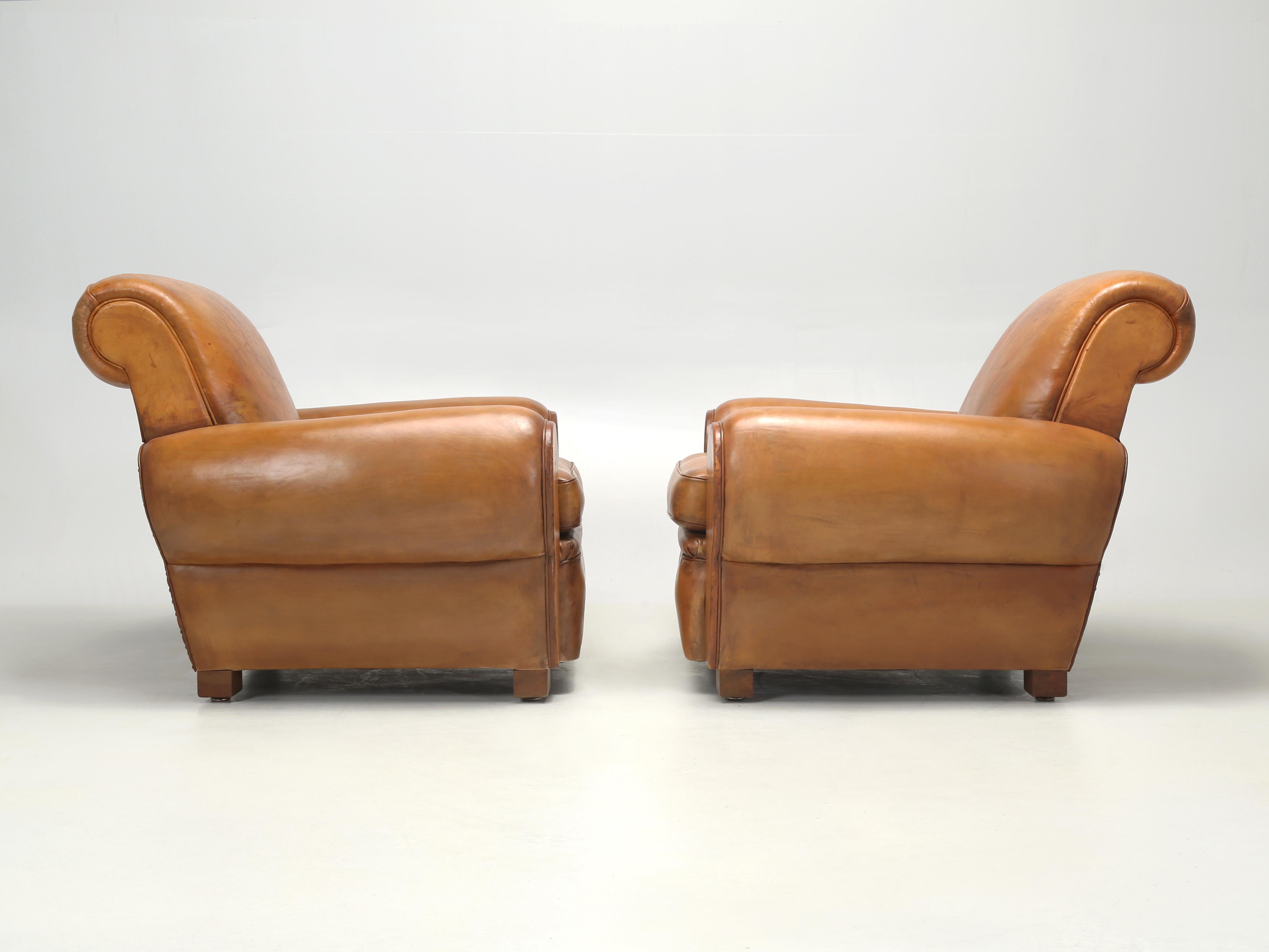 French Leather Club Chairs Properly Restored from Inside Out, Original Leather For Sale 7
