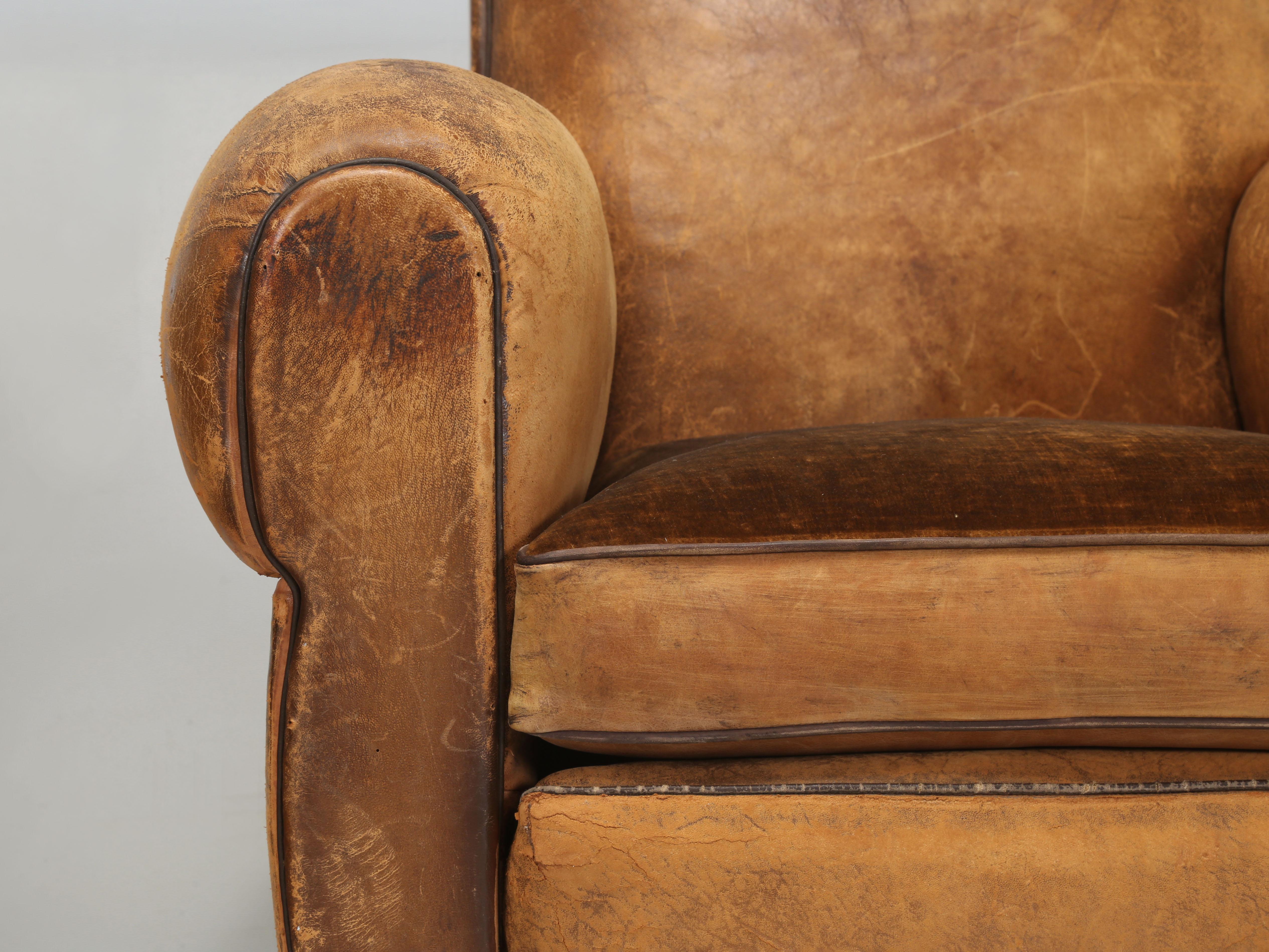 French Leather Club Chairs Restored Internally Horsehair Original Velvet Cushion 5
