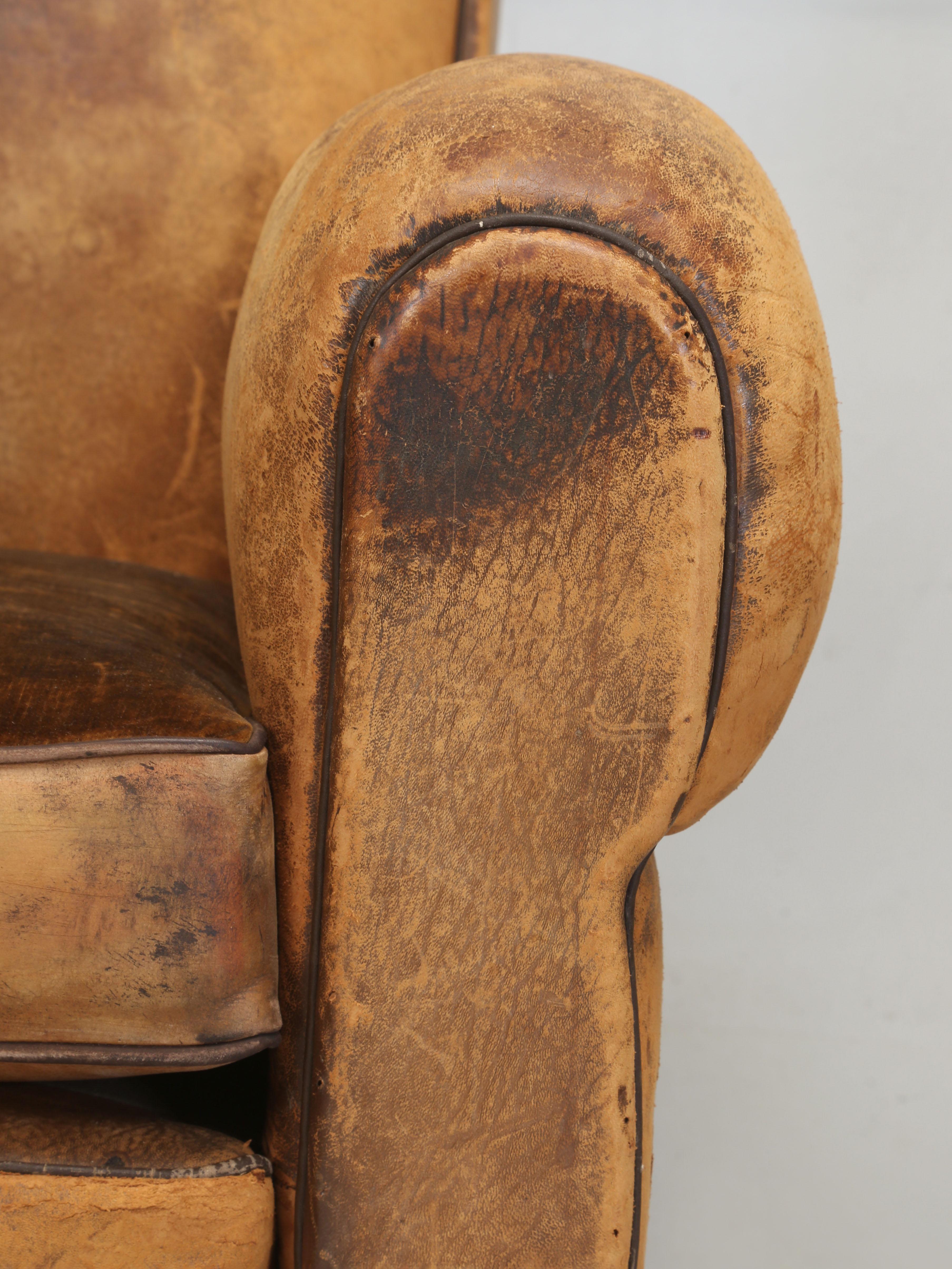 French Leather Club Chairs Restored Internally Horsehair Original Velvet Cushion 6