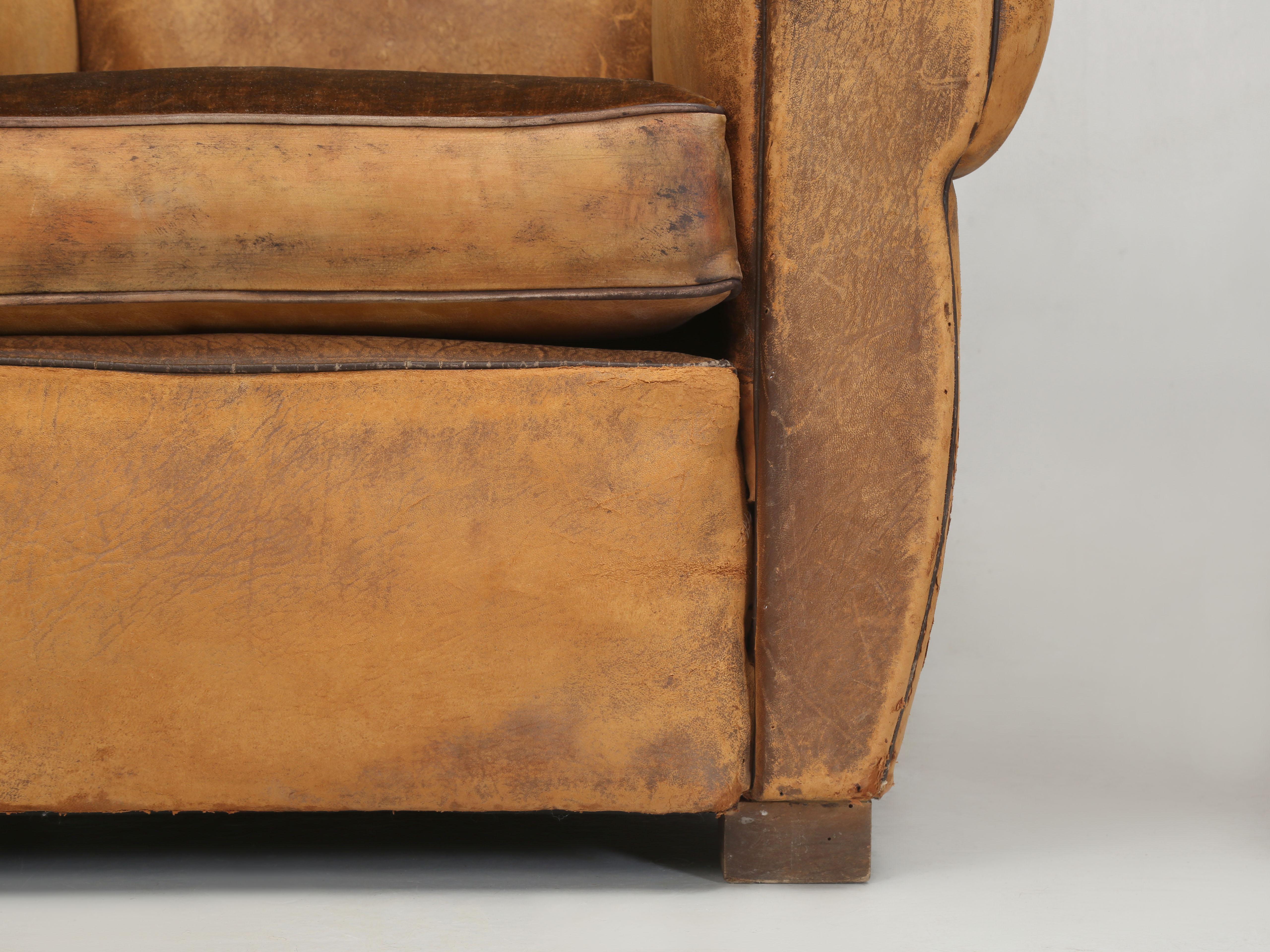 French Leather Club Chairs Restored Internally Horsehair Original Velvet Cushion 7