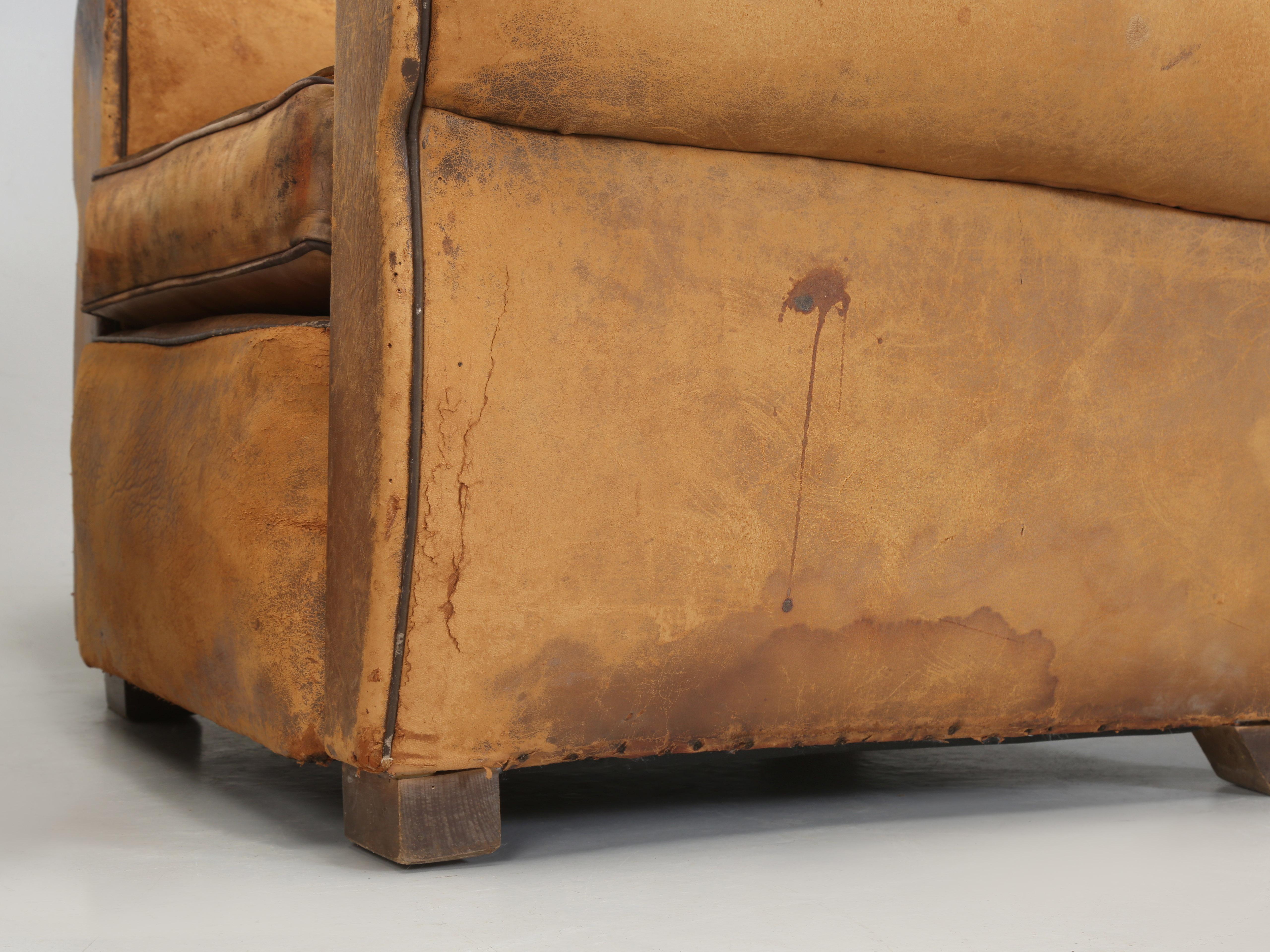 French Leather Club Chairs Restored Internally Horsehair Original Velvet Cushion 8