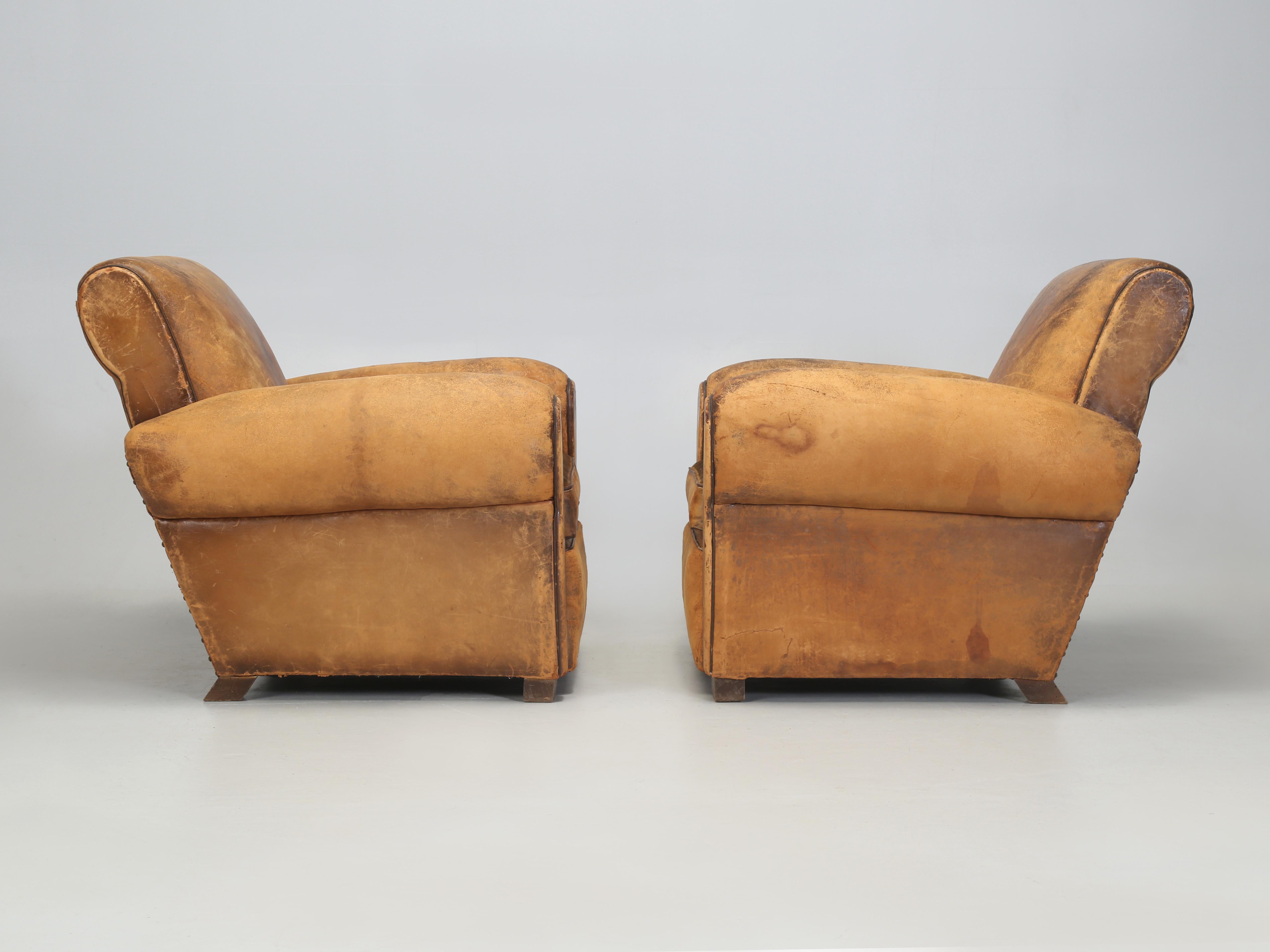 French Leather Club Chairs Restored Internally Horsehair Original Velvet Cushion 9